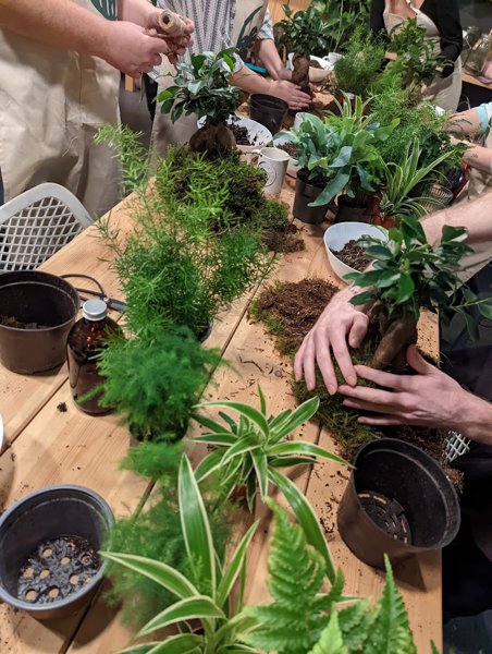 kokedama plant and paint.jpeg