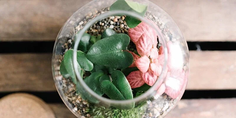 4406DC86-1DC5-44B3-A20B-A5D40438FF9C