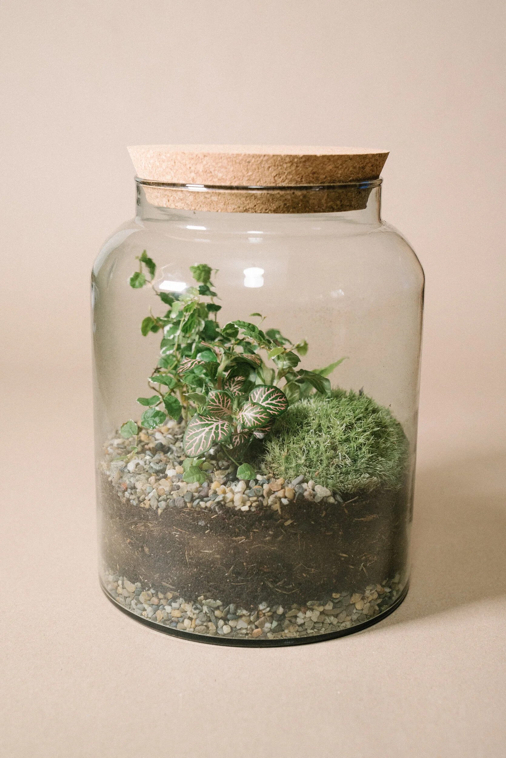 C0D74A8C-5AEB-48EE-9728-EF90DB43FA60