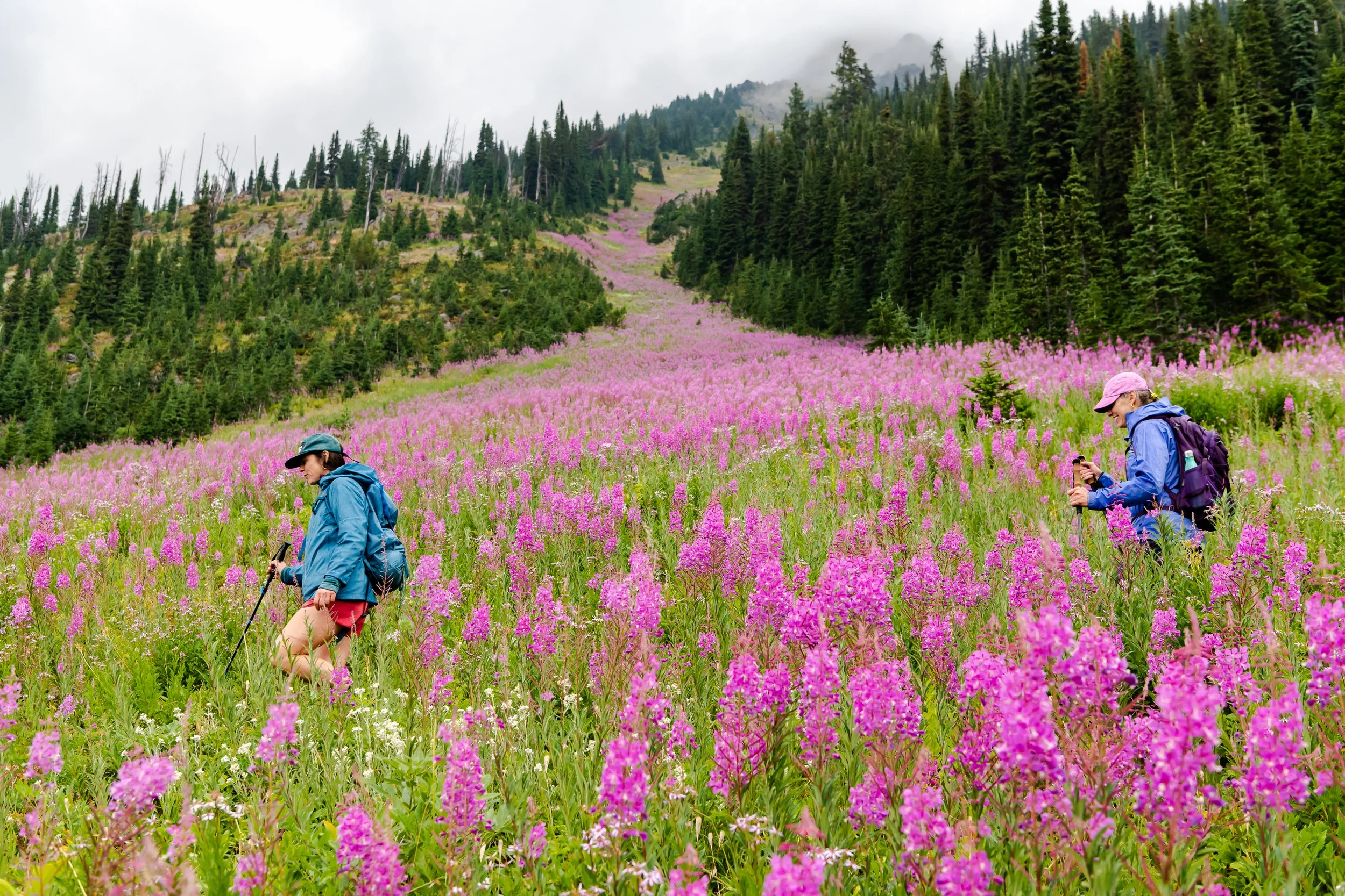 Hiking &amp; Stress Reduction Retreat