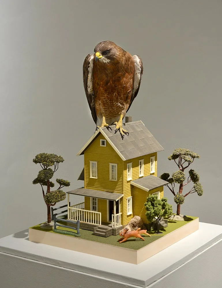 "Hawk On A Farmhouse," 2016.