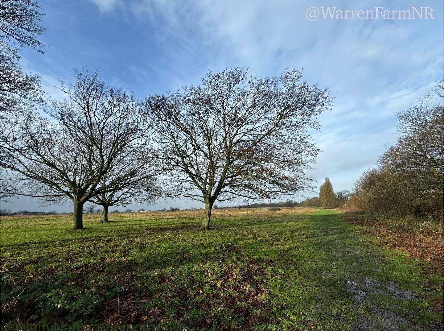 Warren Farm Nature Reserve