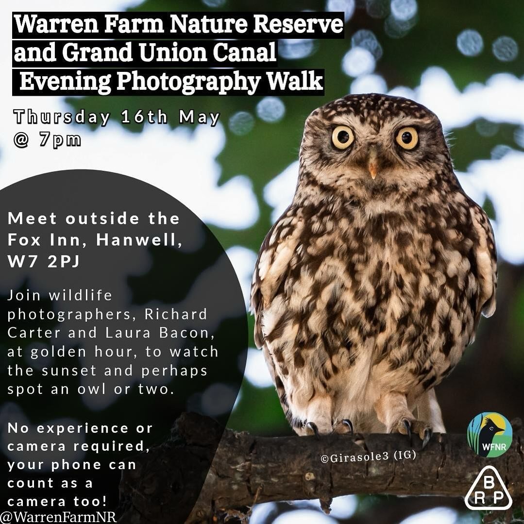 🦉🌿#warrenfarmnr &amp; GRAND UNION CANAL EVENING PHOTOGRAPHY WALK🌿🦉Experts &amp; anyone new to photography with a mobile phone are welcome!🤳Just bring a love of sunsets &amp; owls THIS THURSDAY 16th May!☺️Join brilliant wildlife photographers @gi