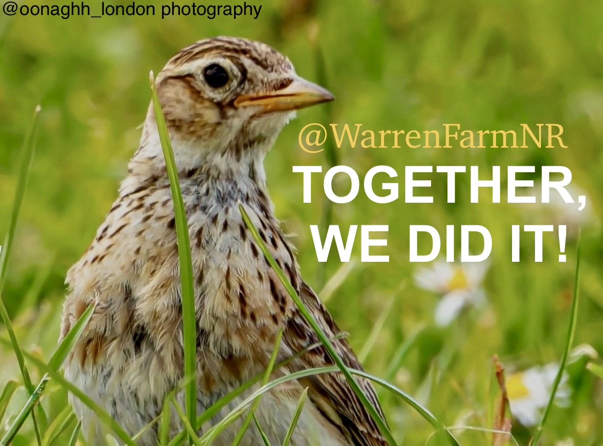 TOGETHER, WE DID IT! WarrenFarmNR is now officially declared a statutory Local Nature Reserve!