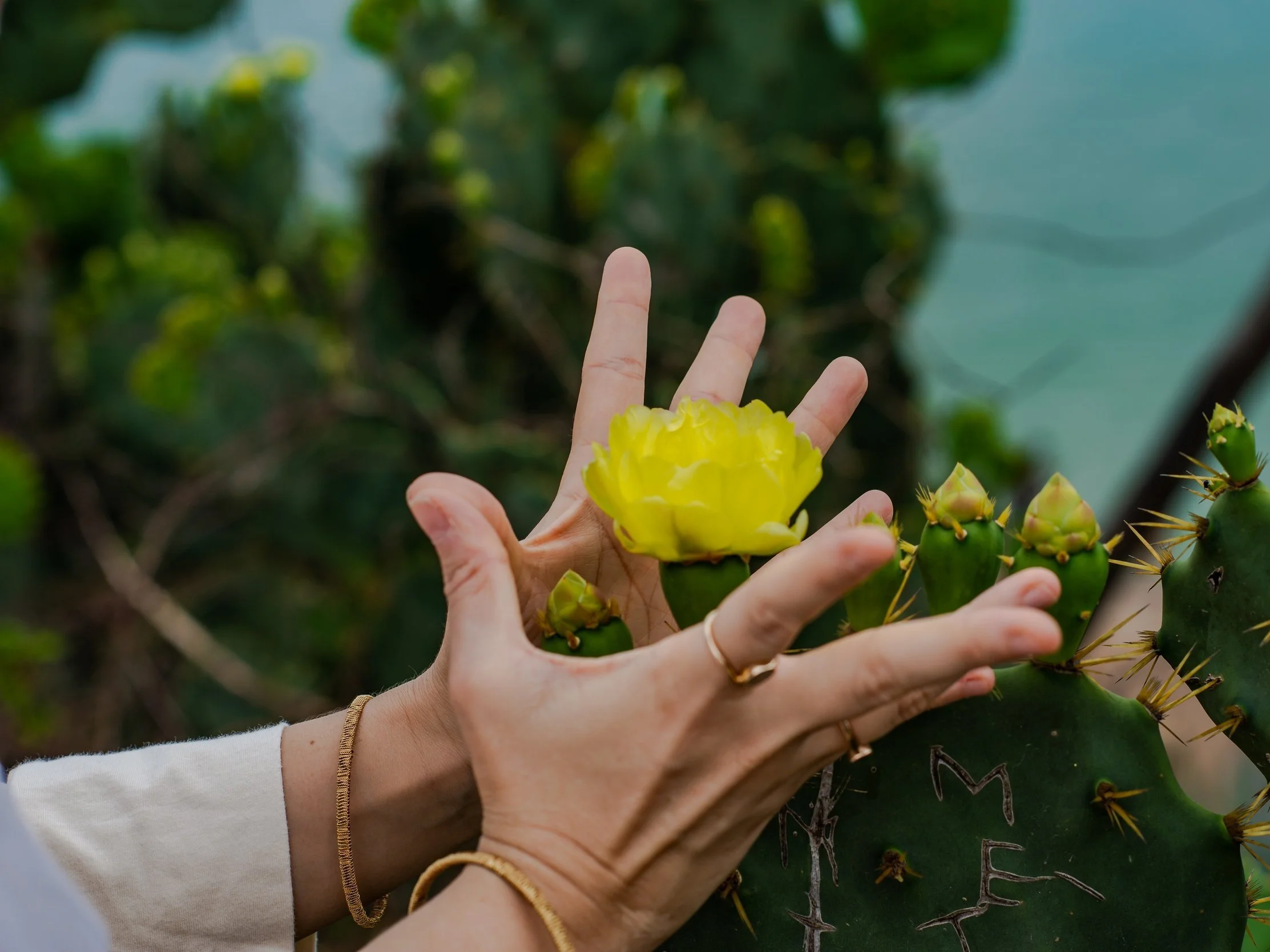 As partes de mim: como lidar com a insegurança e a vergonha
