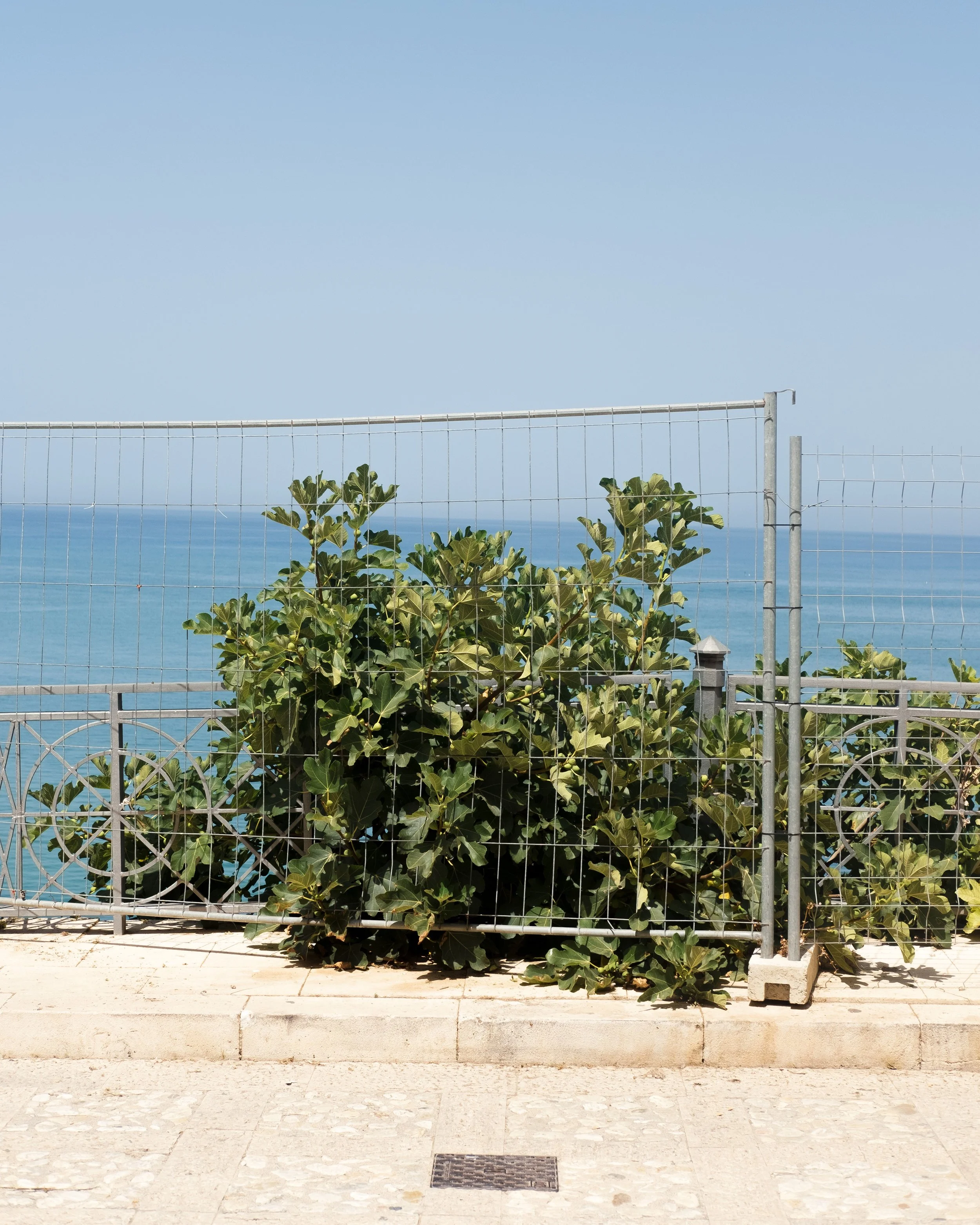 2023-07-Sicily-42.jpg