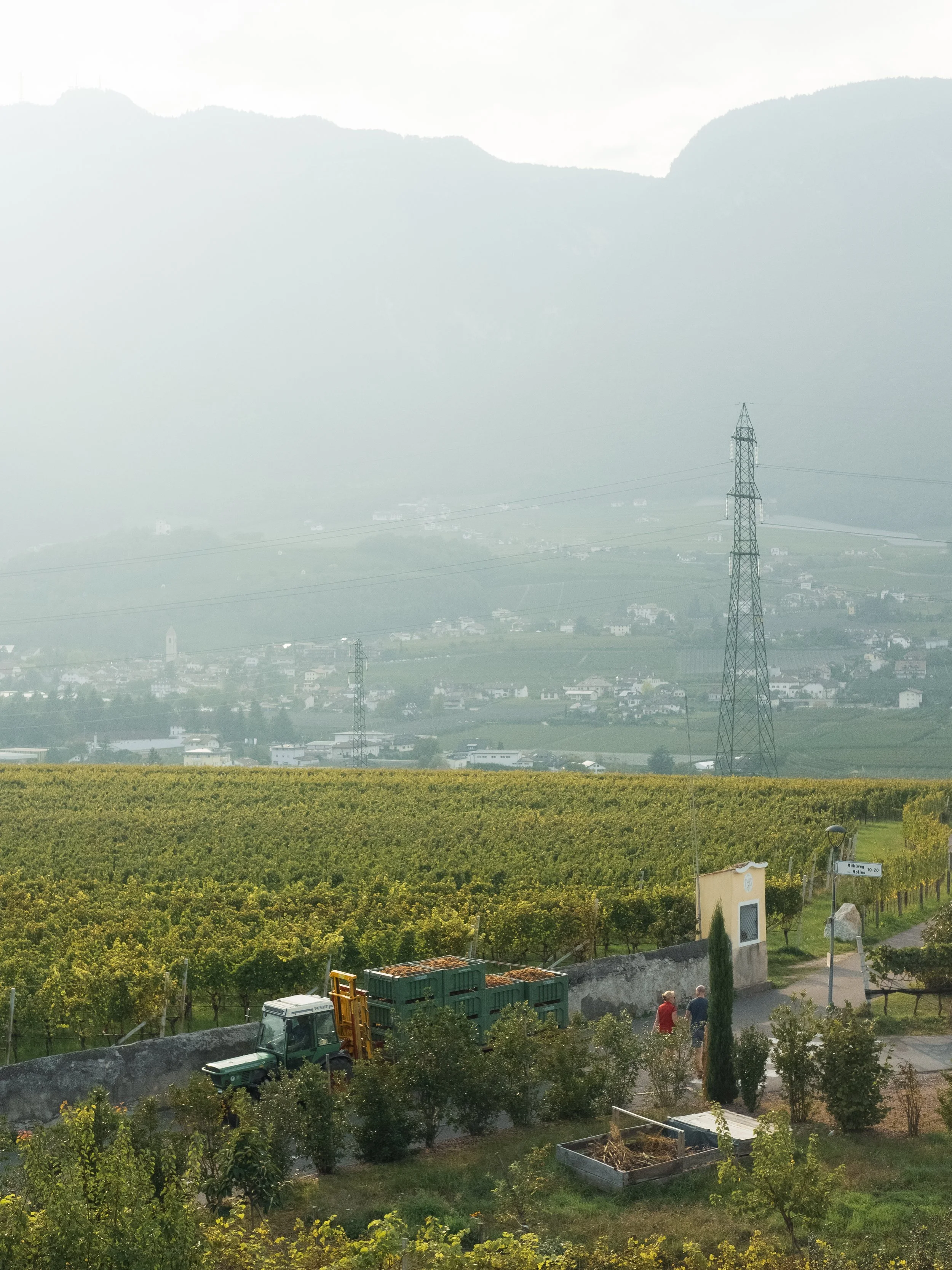 DSCF9246.jpg