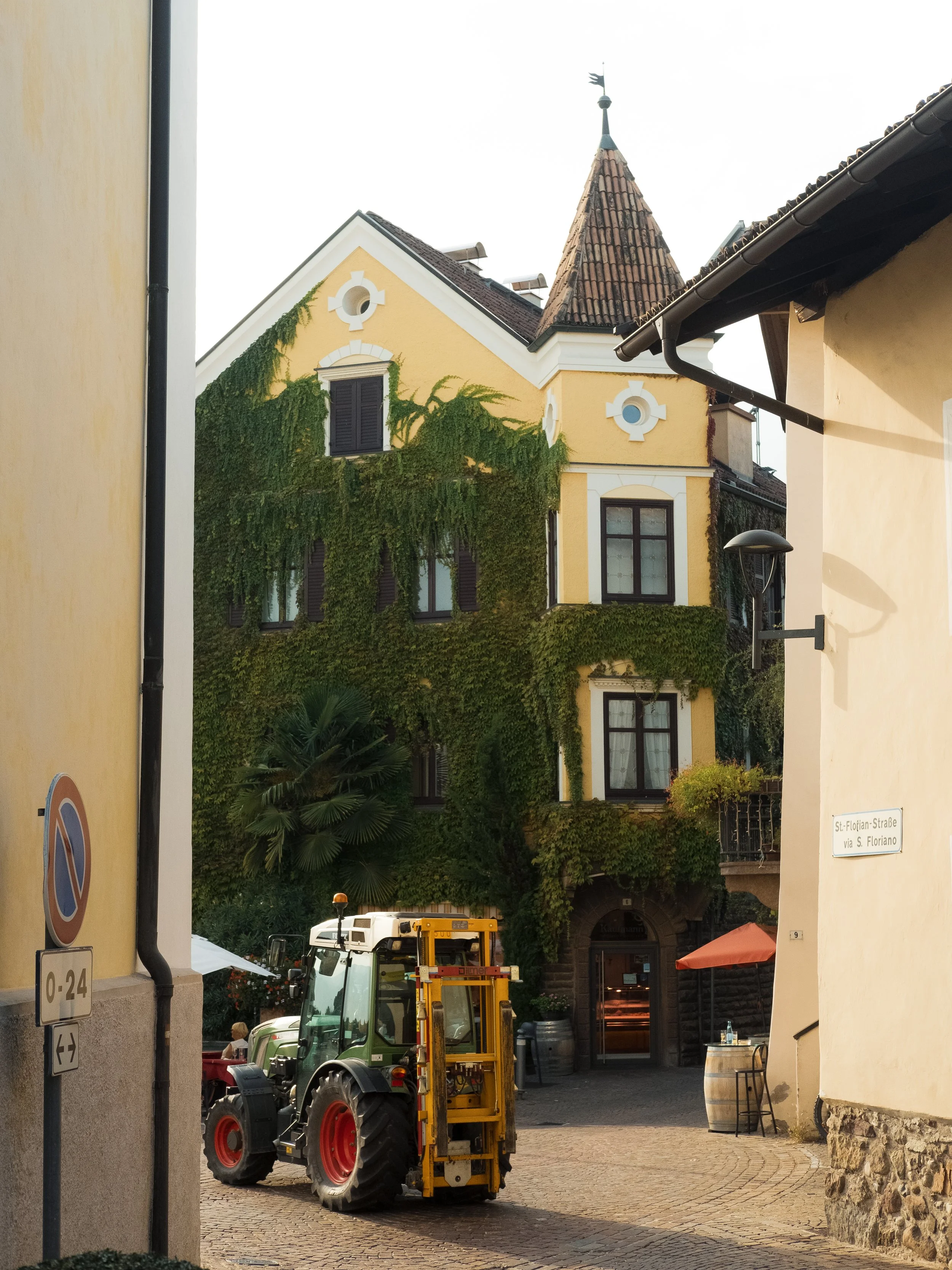 DSCF9225.jpg