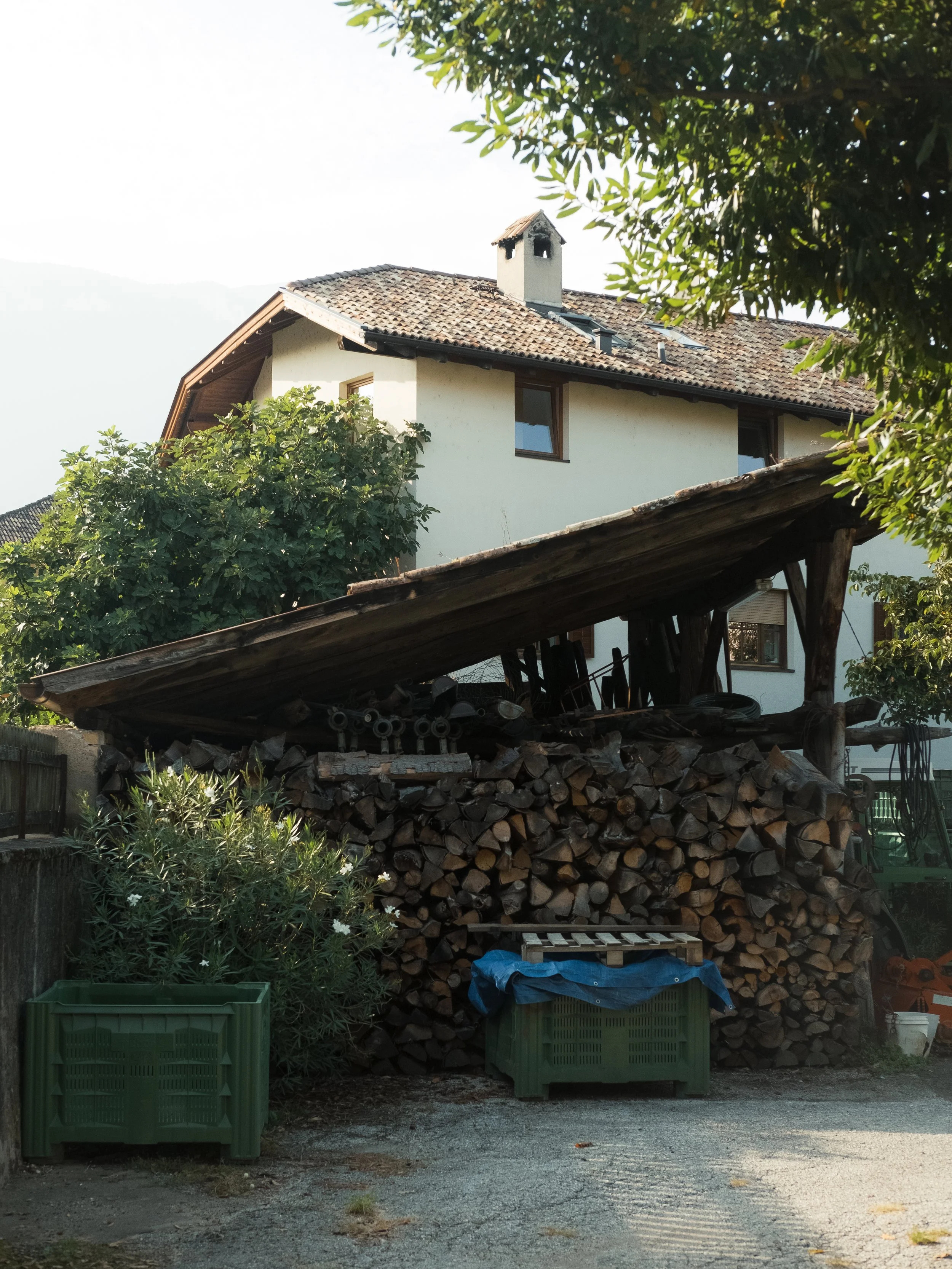 DSCF9144.jpg