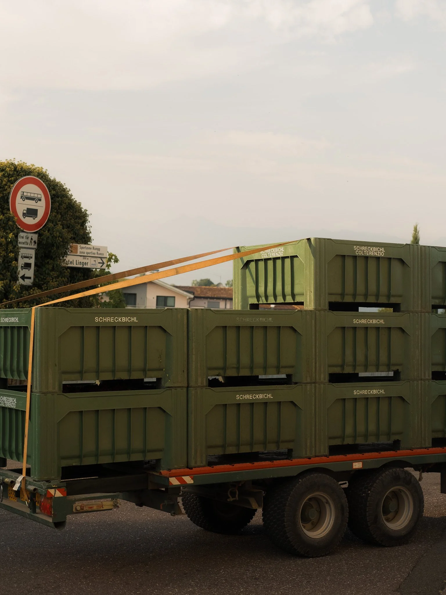 DSCF9184.jpg