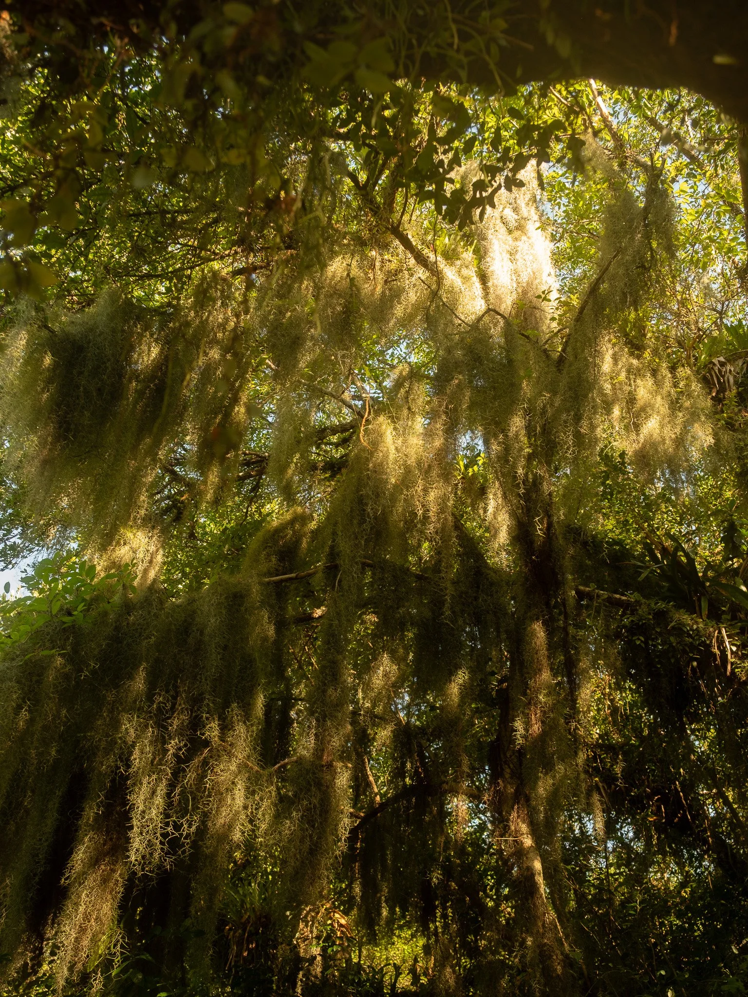 DSCF3540-4.jpg