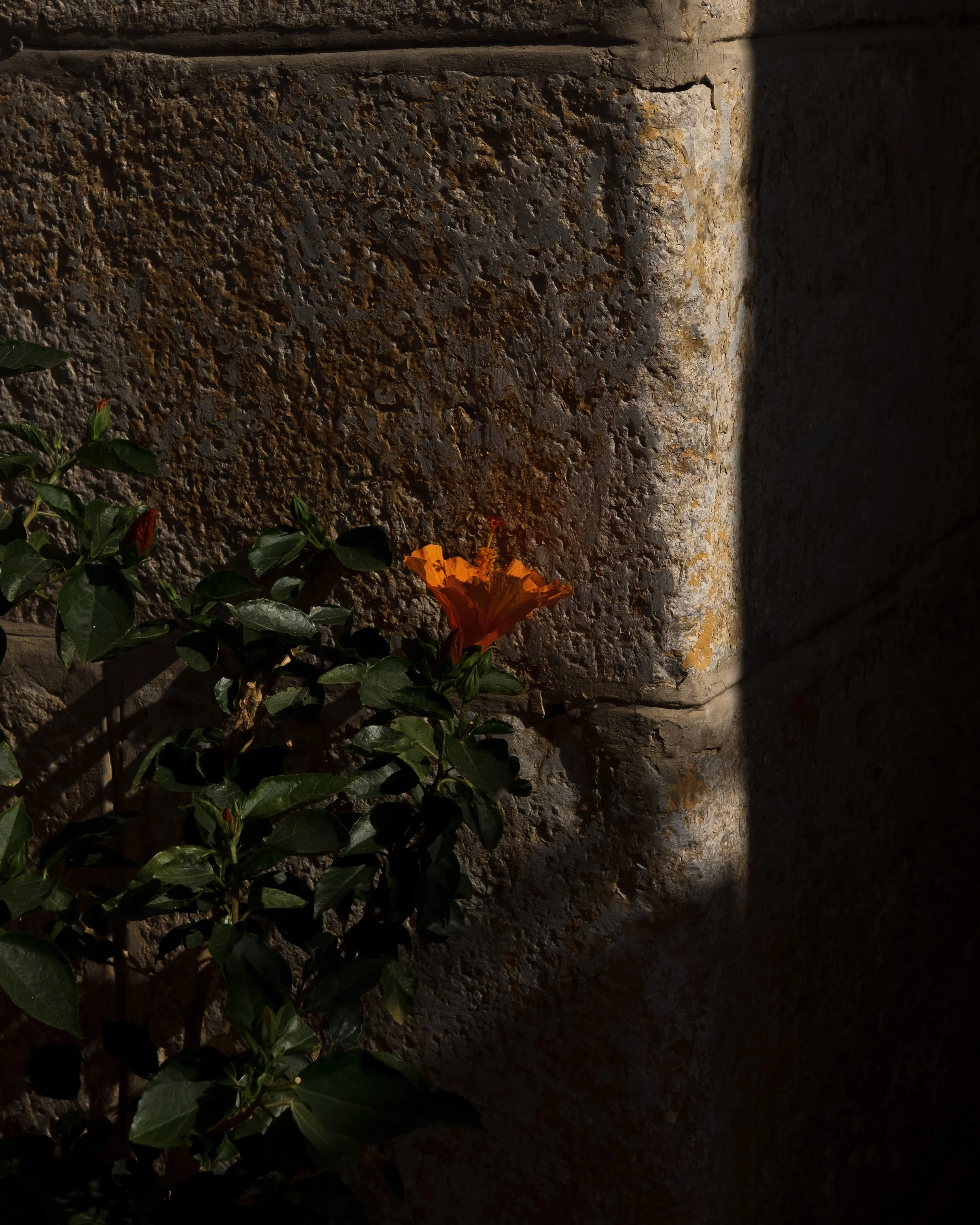 2023-07-Sicily-19.jpg