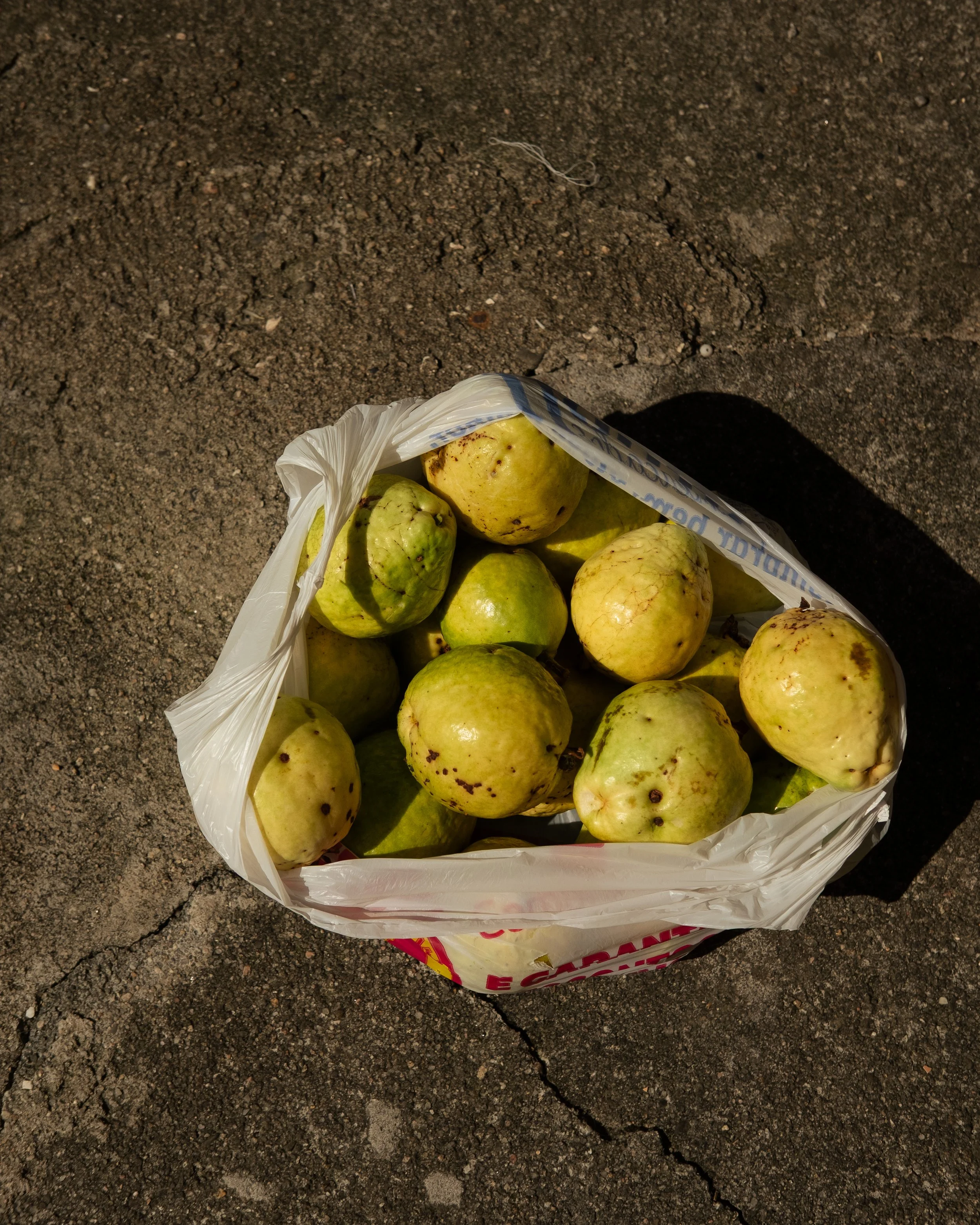 DSCF2841-2.jpg