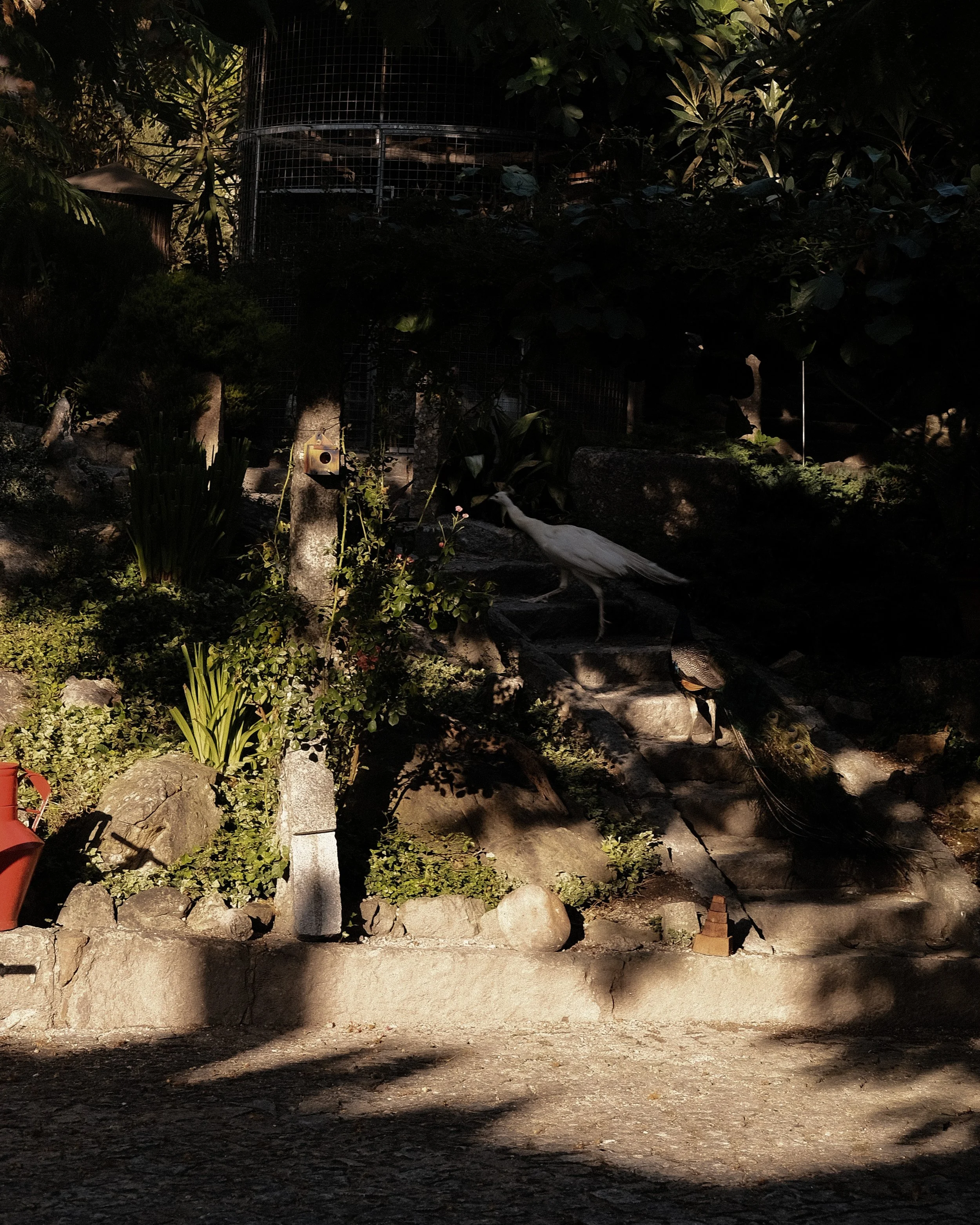 2023-07-15_AntoniosHouse-14.jpg
