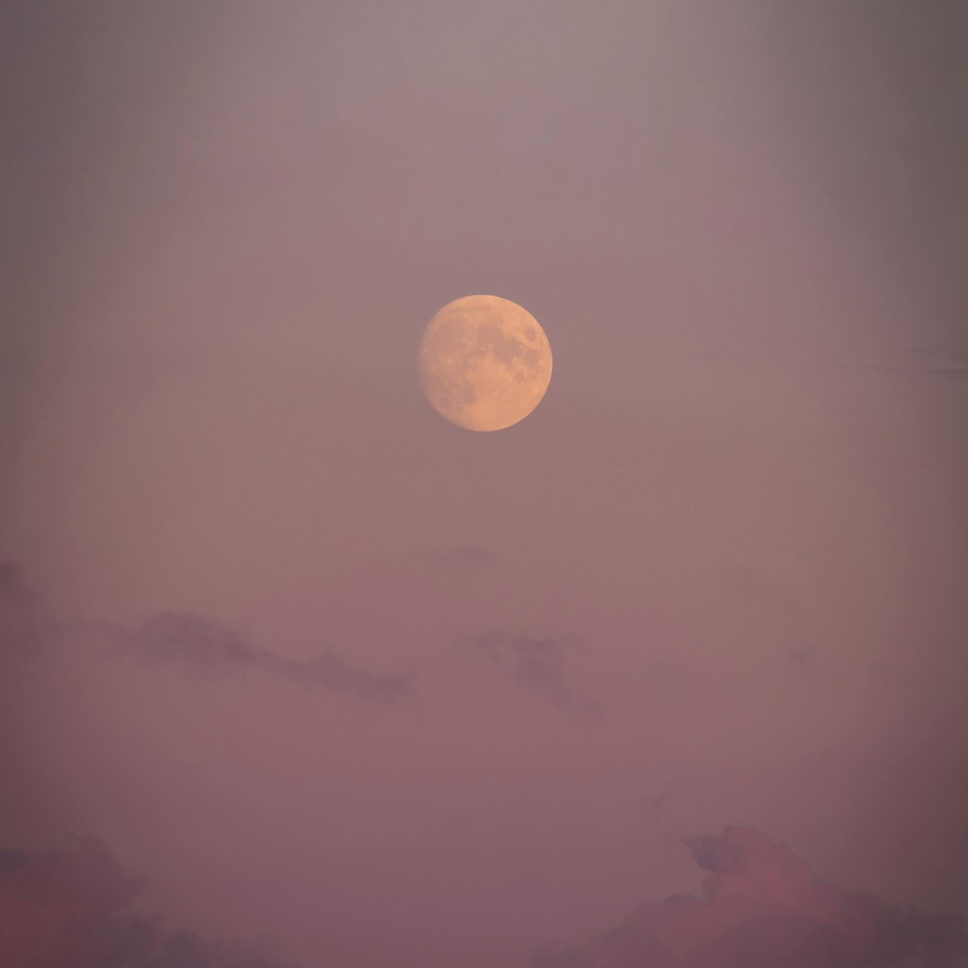 Check out the full moon tonight, it&rsquo;ll be pink! 💗

April&rsquo;s full moon is titled, The Pink Moon, not just for its colour (it&rsquo;ll likely be more golden), but for its correspondence with springtime and a wildflower that blooms in North 