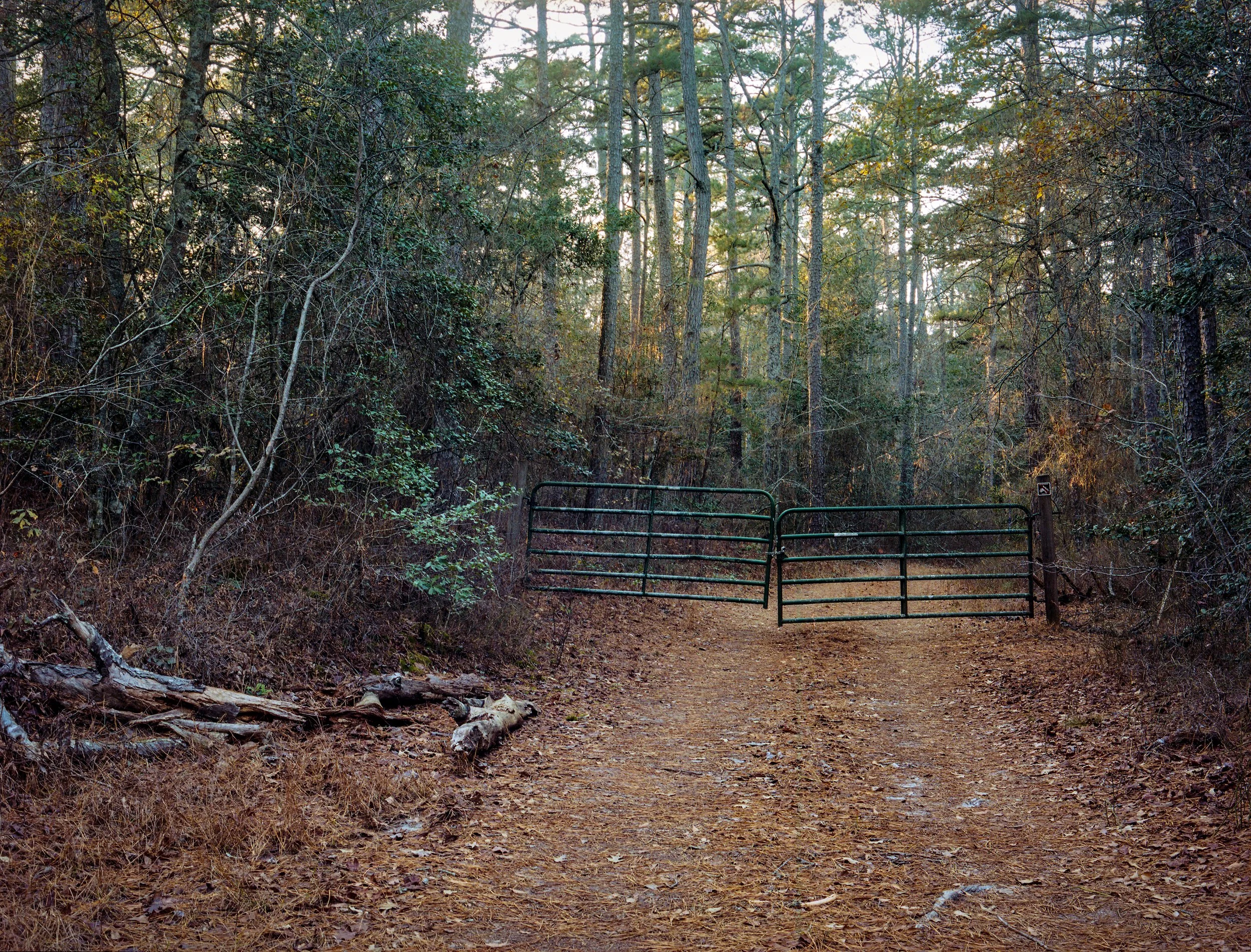 film scan016_12x16_PrintProof3 copy 2.jpg