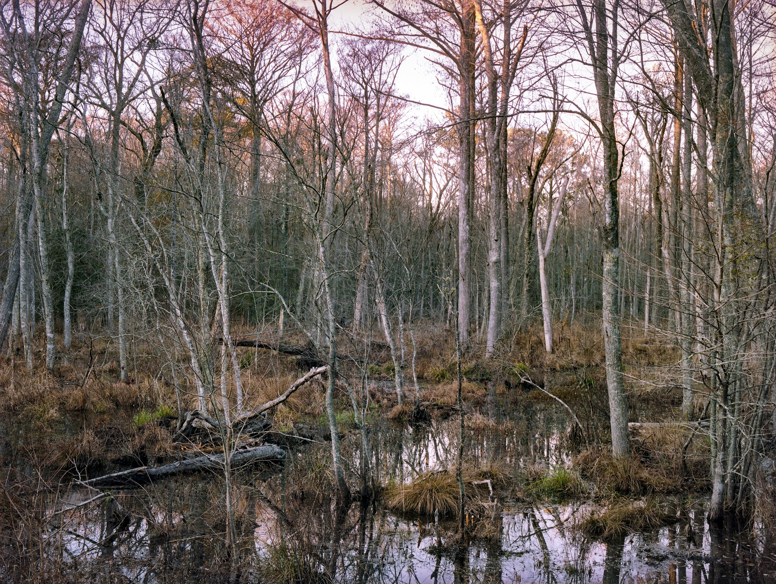 film scan014_Printproof2_noisereduction_9x12 copy.jpg