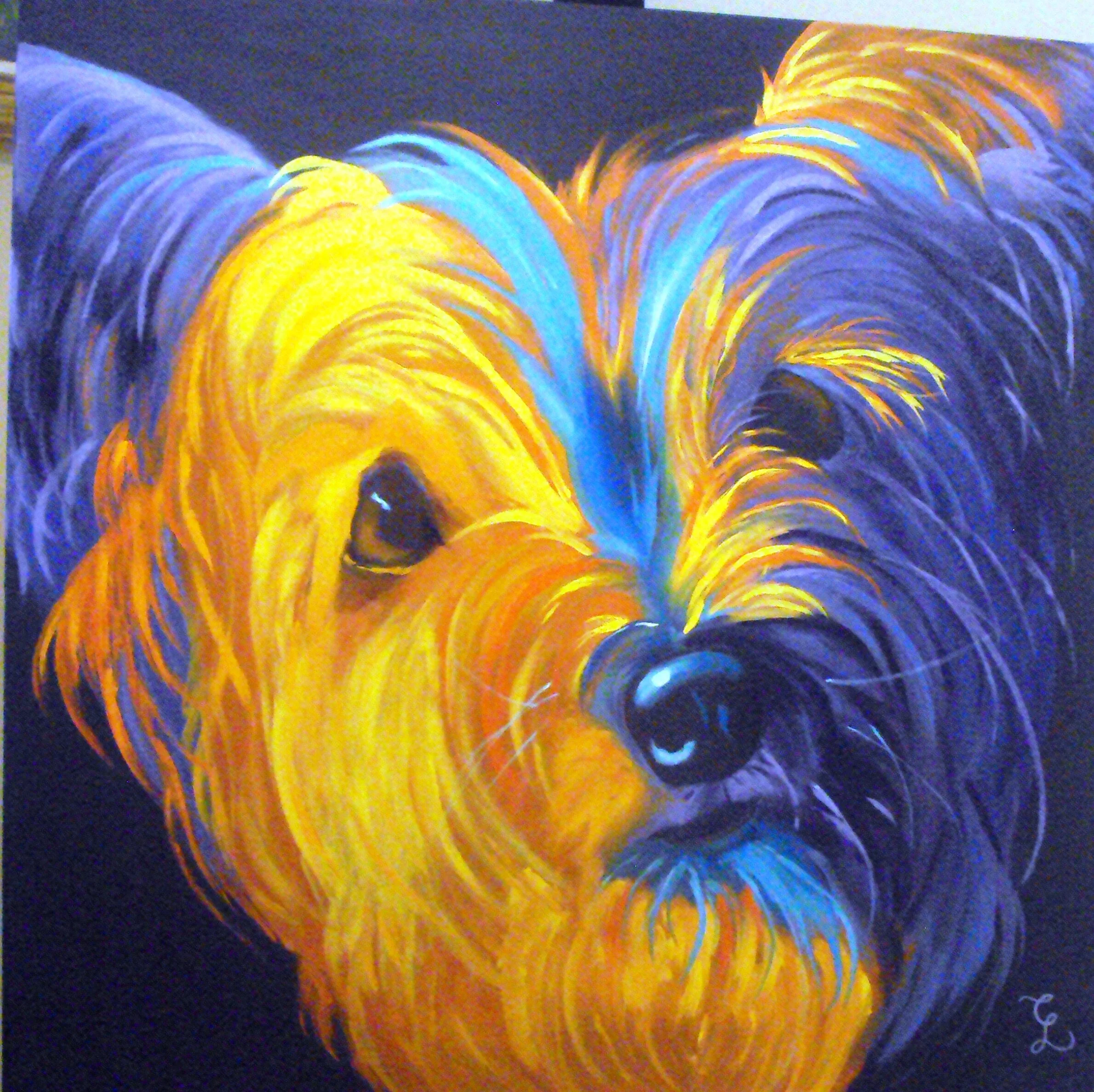 feb 2014 workshop 003.JPG