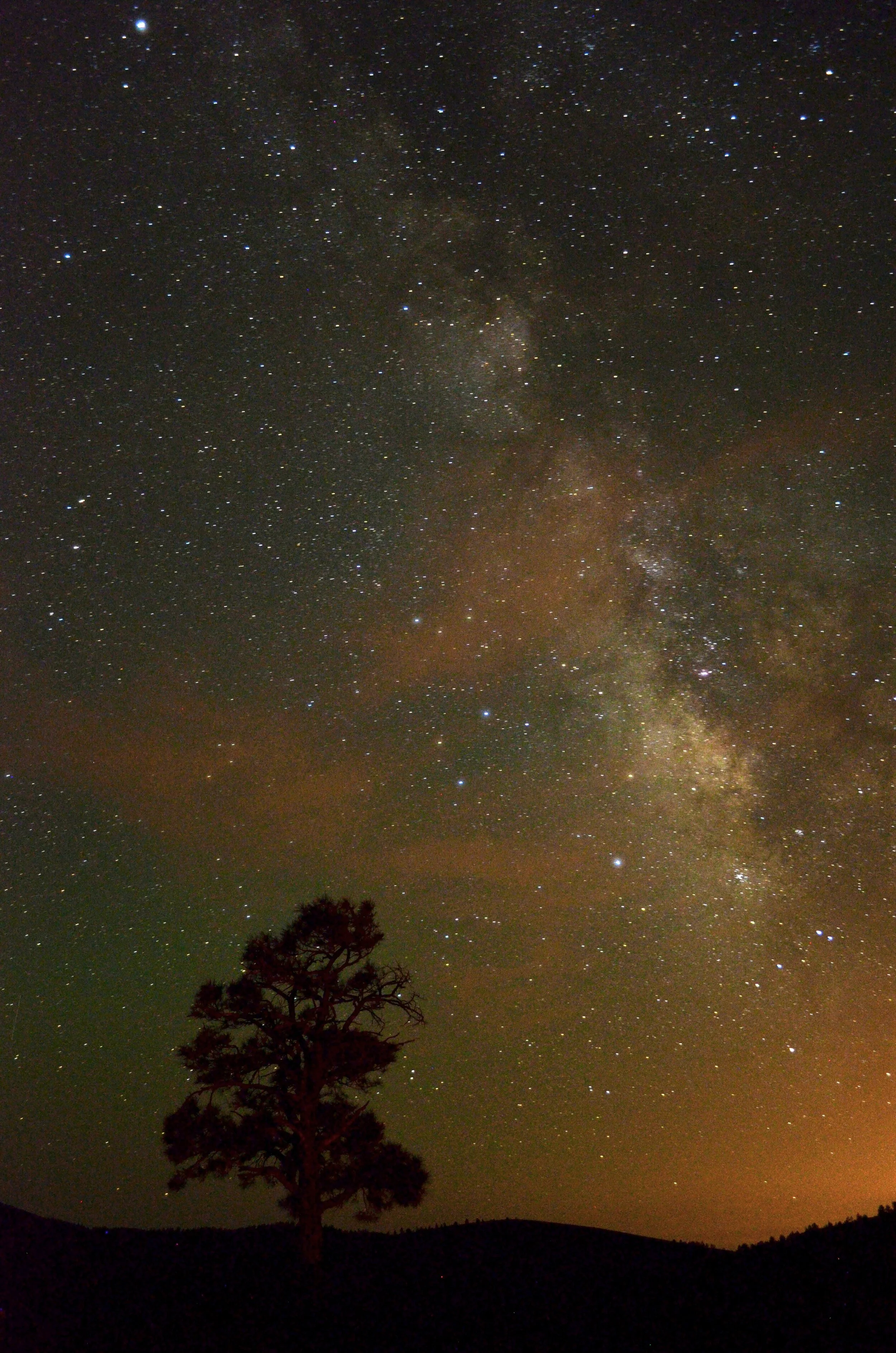 Beneath the Winslow Stars