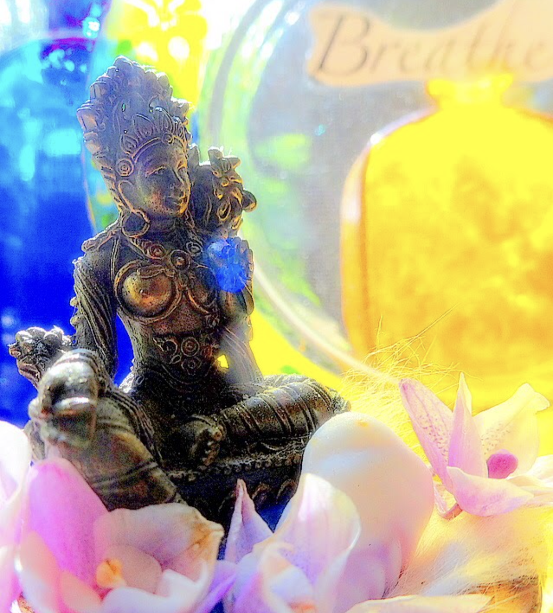 HIDDEN IN PLAIN VIEW