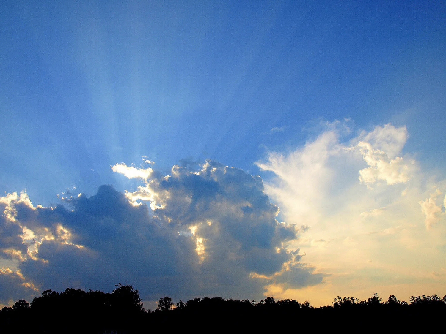 CELESTIAL SUNSET