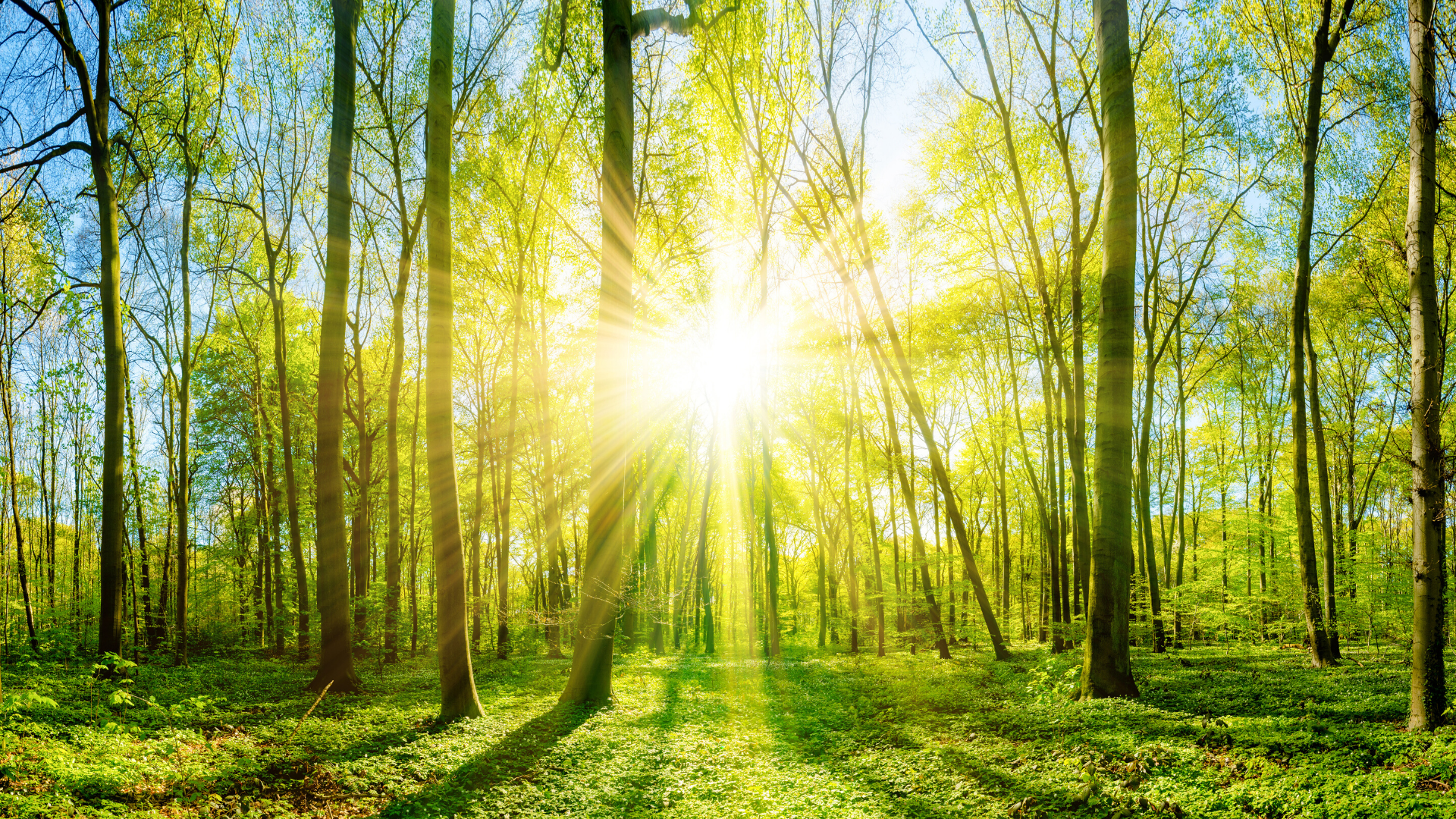 Shining the Light on YOU!