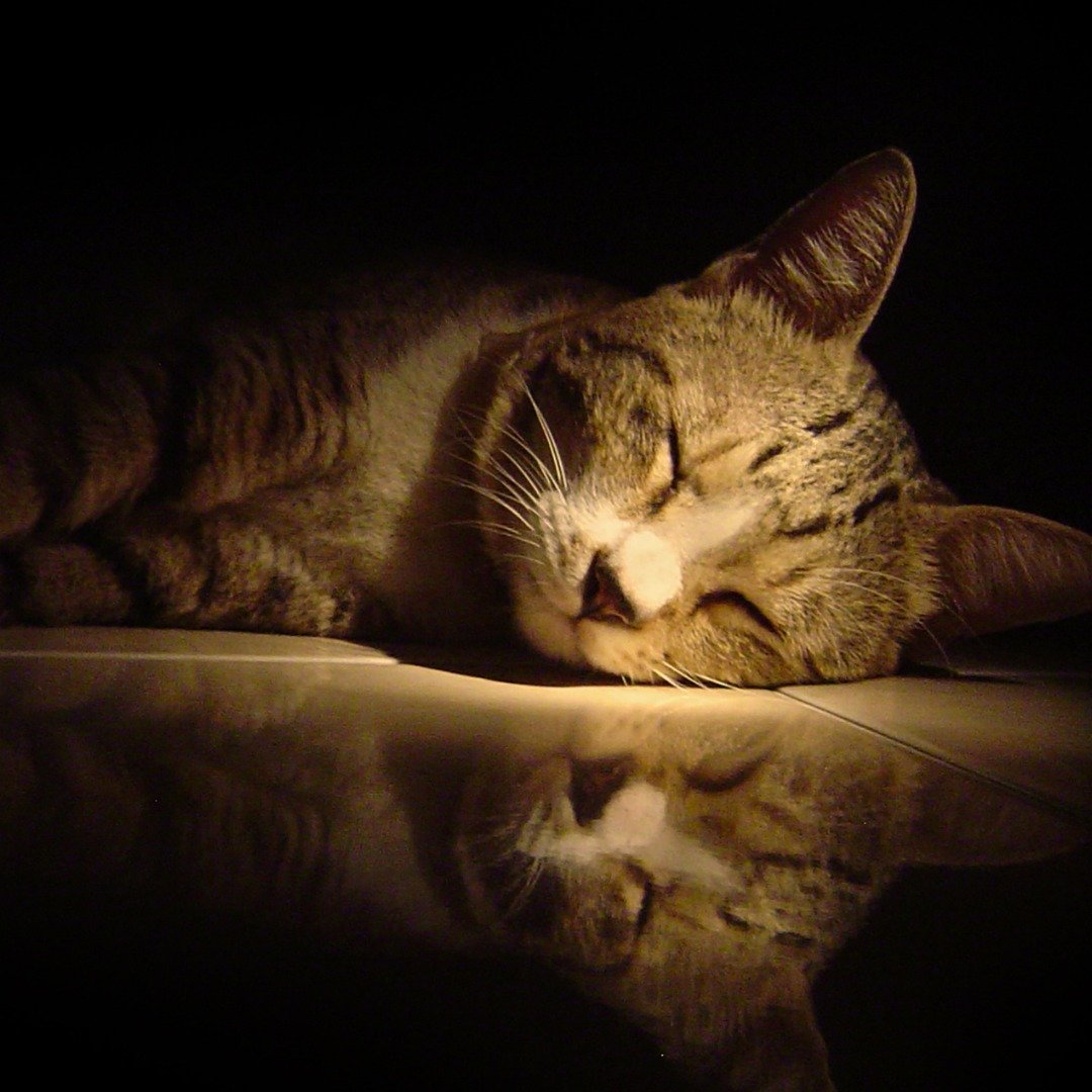 Struggling with sleep? 😴 A healthy evening routine can make all the difference! This month, we&rsquo;re sharing six simple steps to improve your sleep quality and wake up feeling refreshed. 🌙 From setting a consistent bedtime to creating a calming,