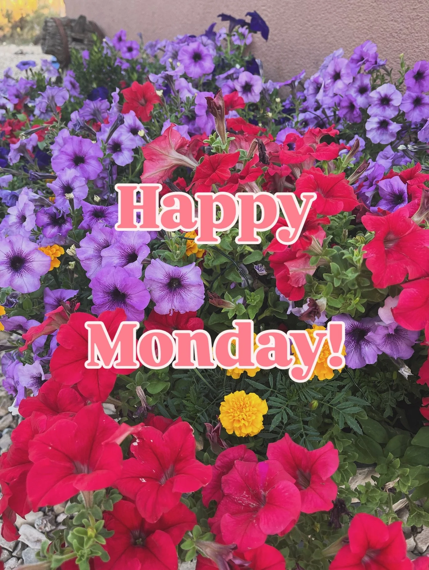 Wishing everyone a fantastic week! 🎉

#annetteandada #coaching #personaldevelopment #gardening #flowers #mondays