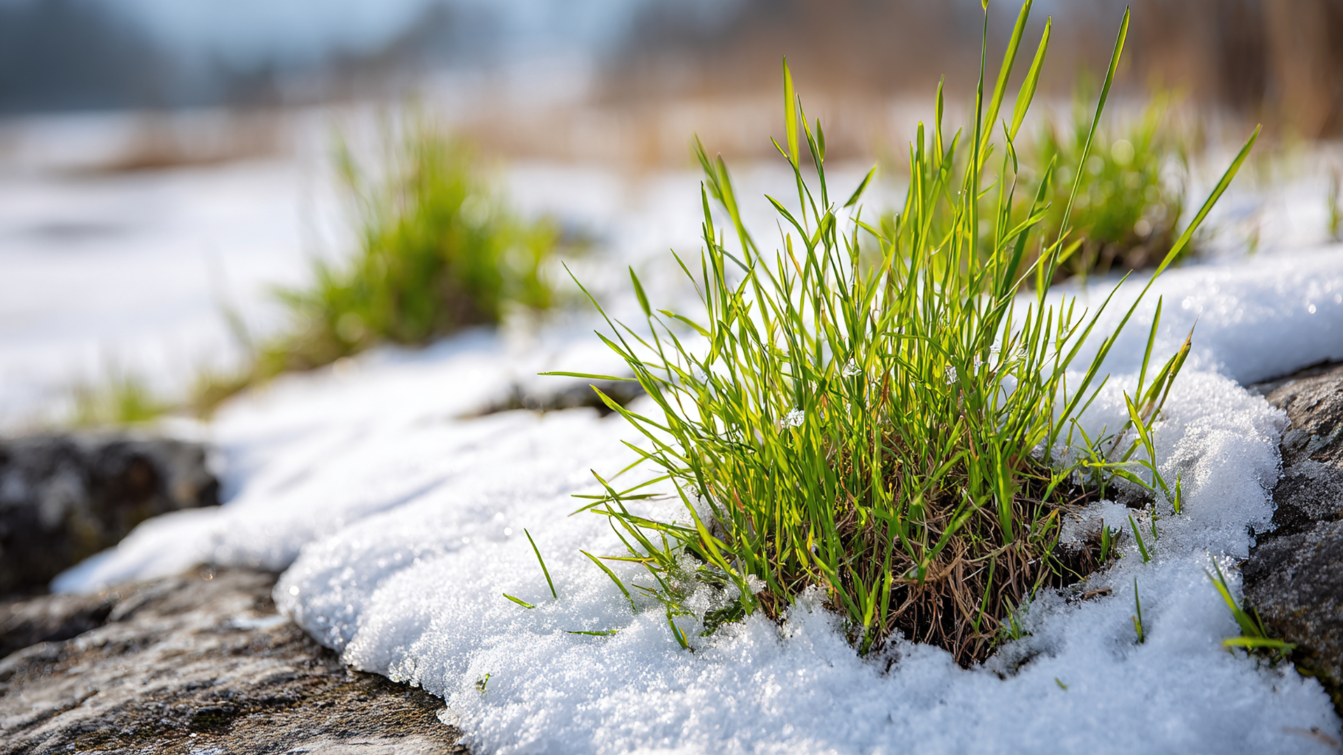 Development Digest - January 2026