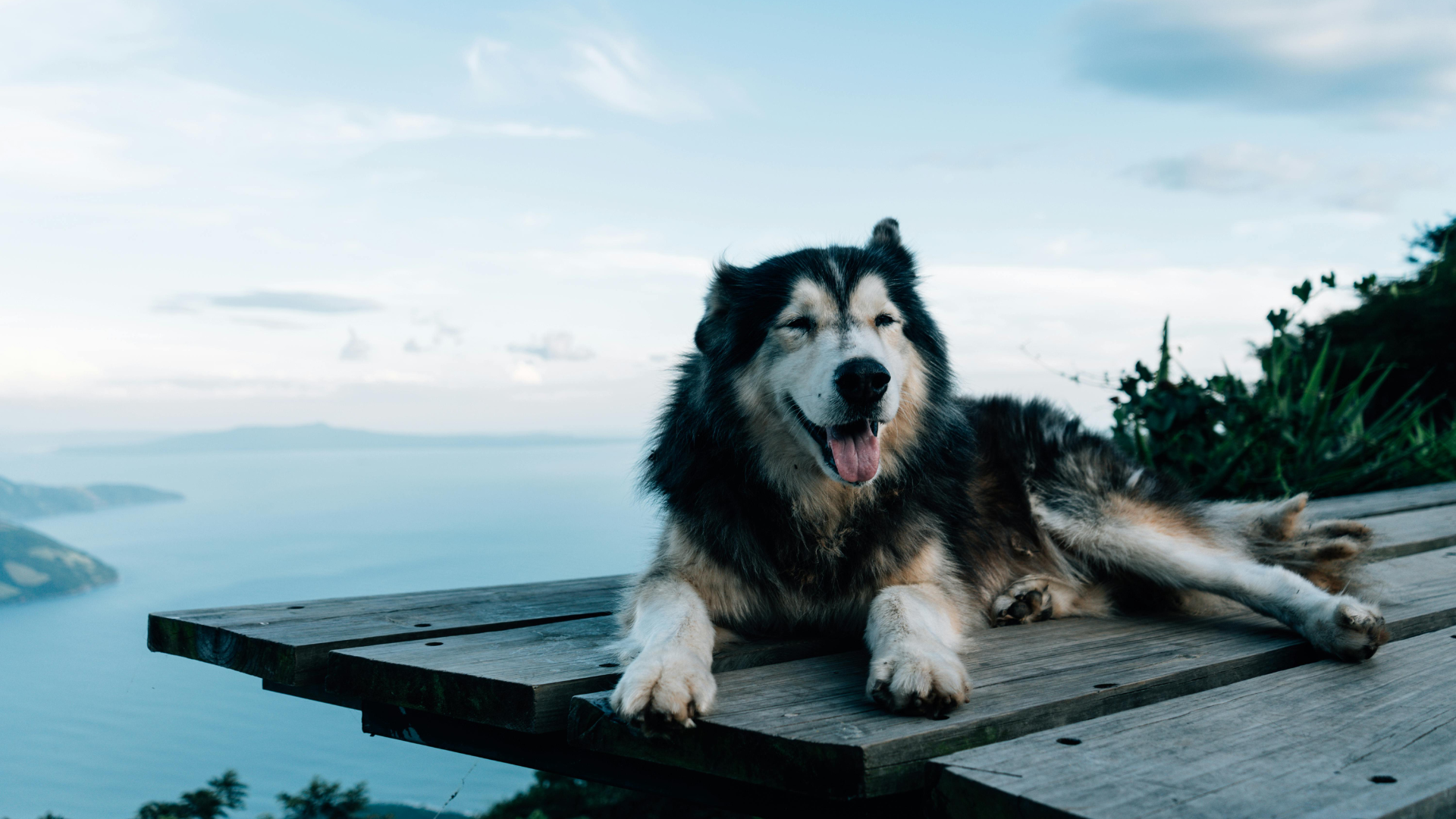 Development Digest - March 2026