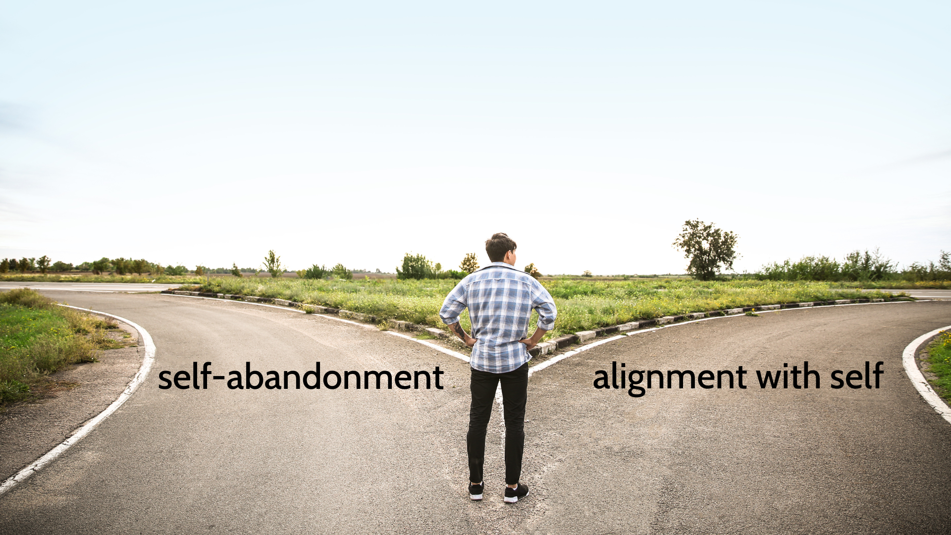 Development Digest - February 2026