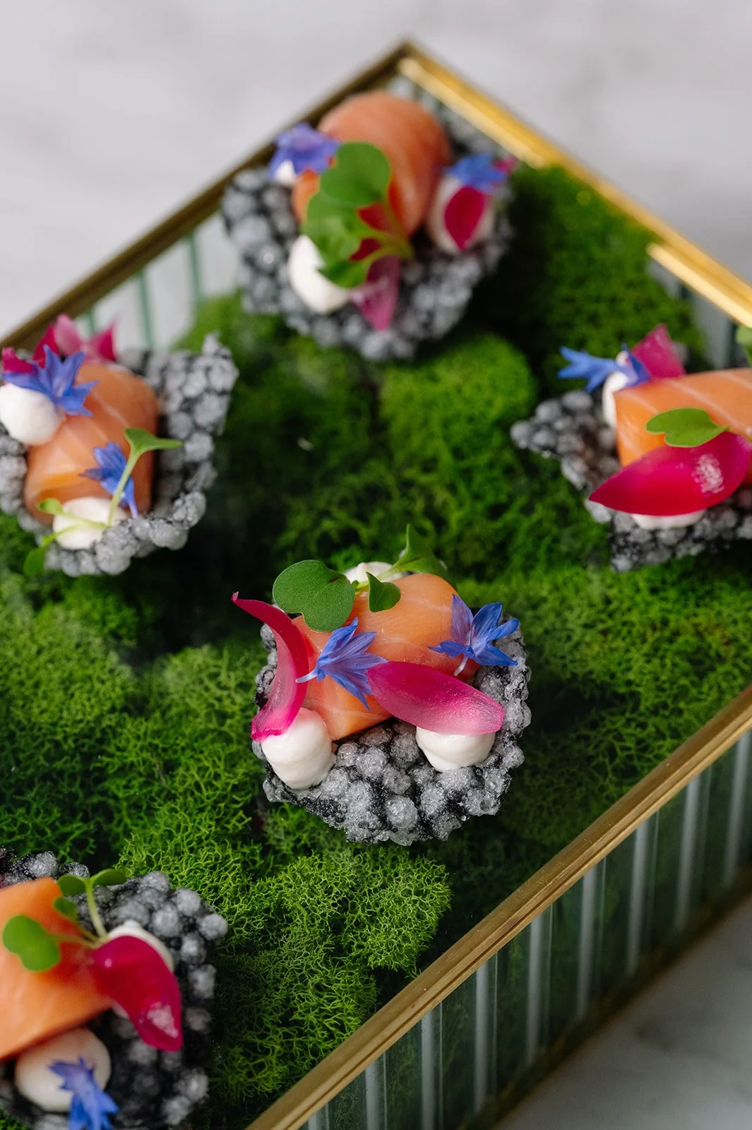 BC King Salmon10.jpg