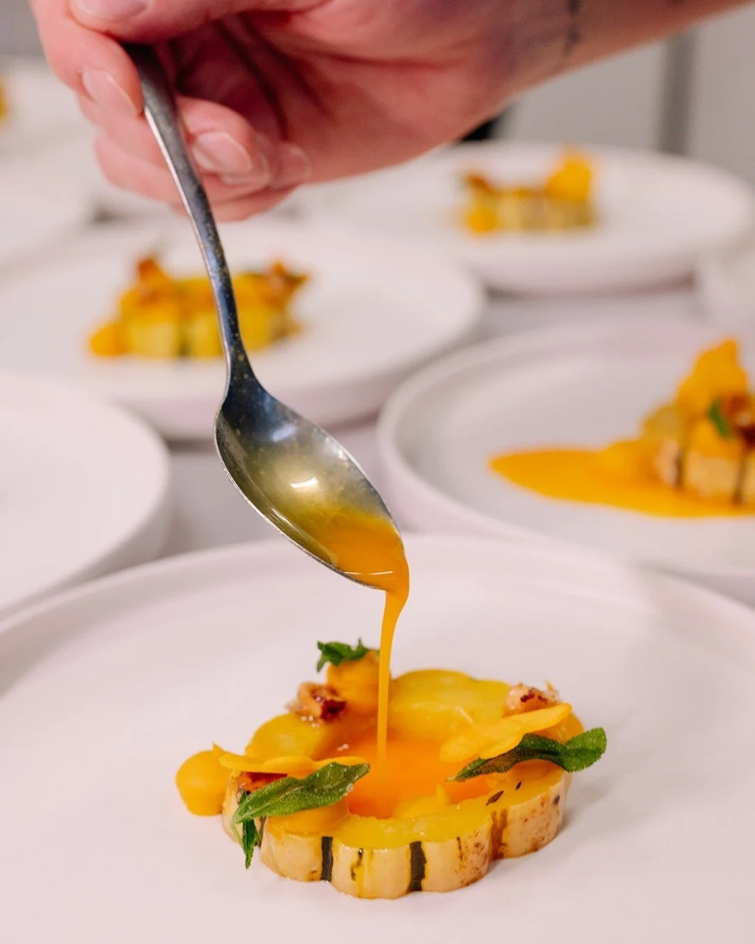 Squash Goals, Achieved. 

A cozy, roasted medley of butternut, kabocha, acorn, and delicata squash, toasted hazelnuts, and a sprinkle of fresh sage for that aromatic finish.

It&rsquo;s the kind of dish that makes your guests say, &ldquo;Wait&hellip;