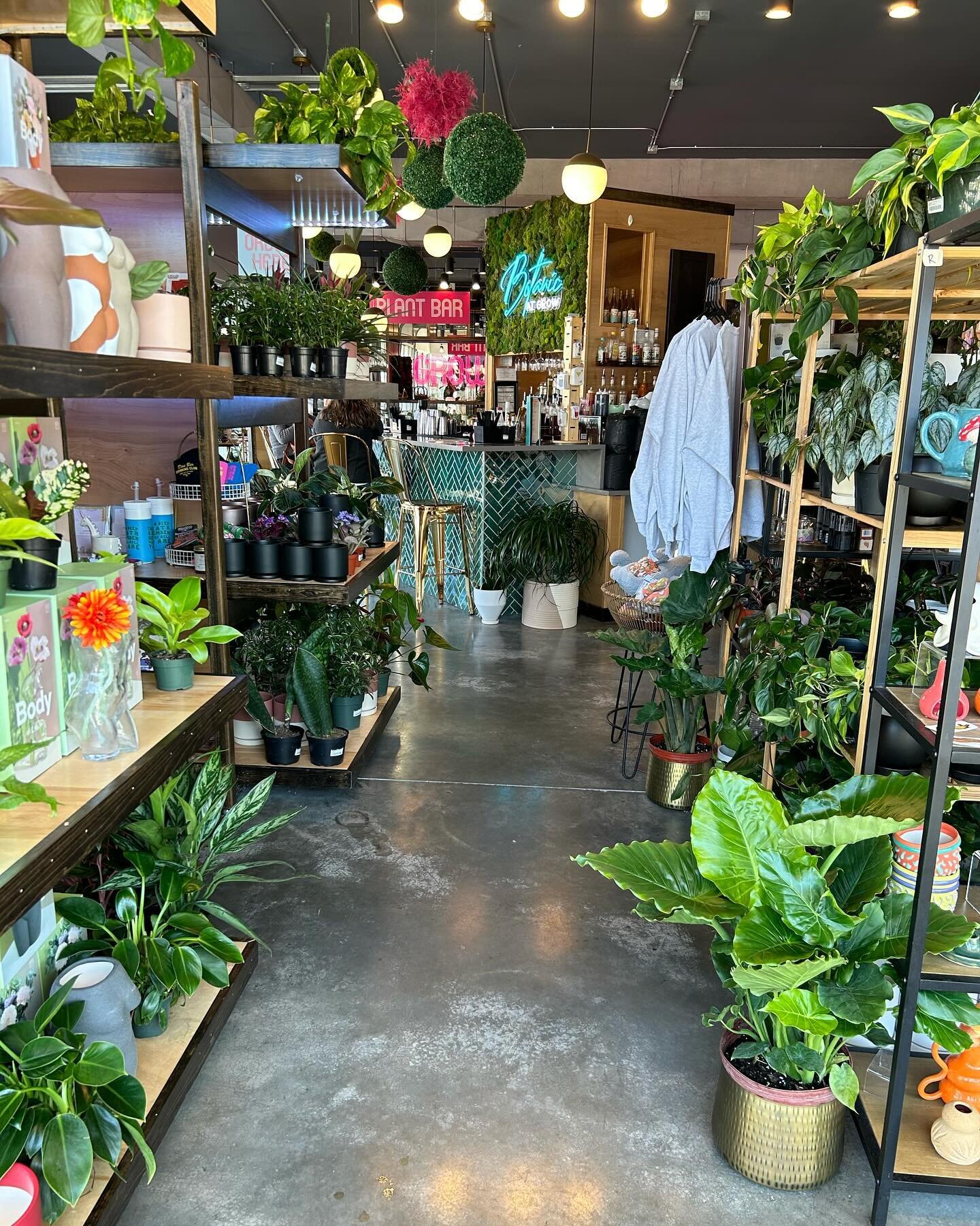 Finally it&rsquo;s the Weekend!! 🙌

Want a place to have fun, create, relax and also be surrounded by plants? Then Grow is the place for you!!! 🫶🌿

Pink princess $15! 

We just got in these super cute Lemon and Orange trees for the spring time! 🍋