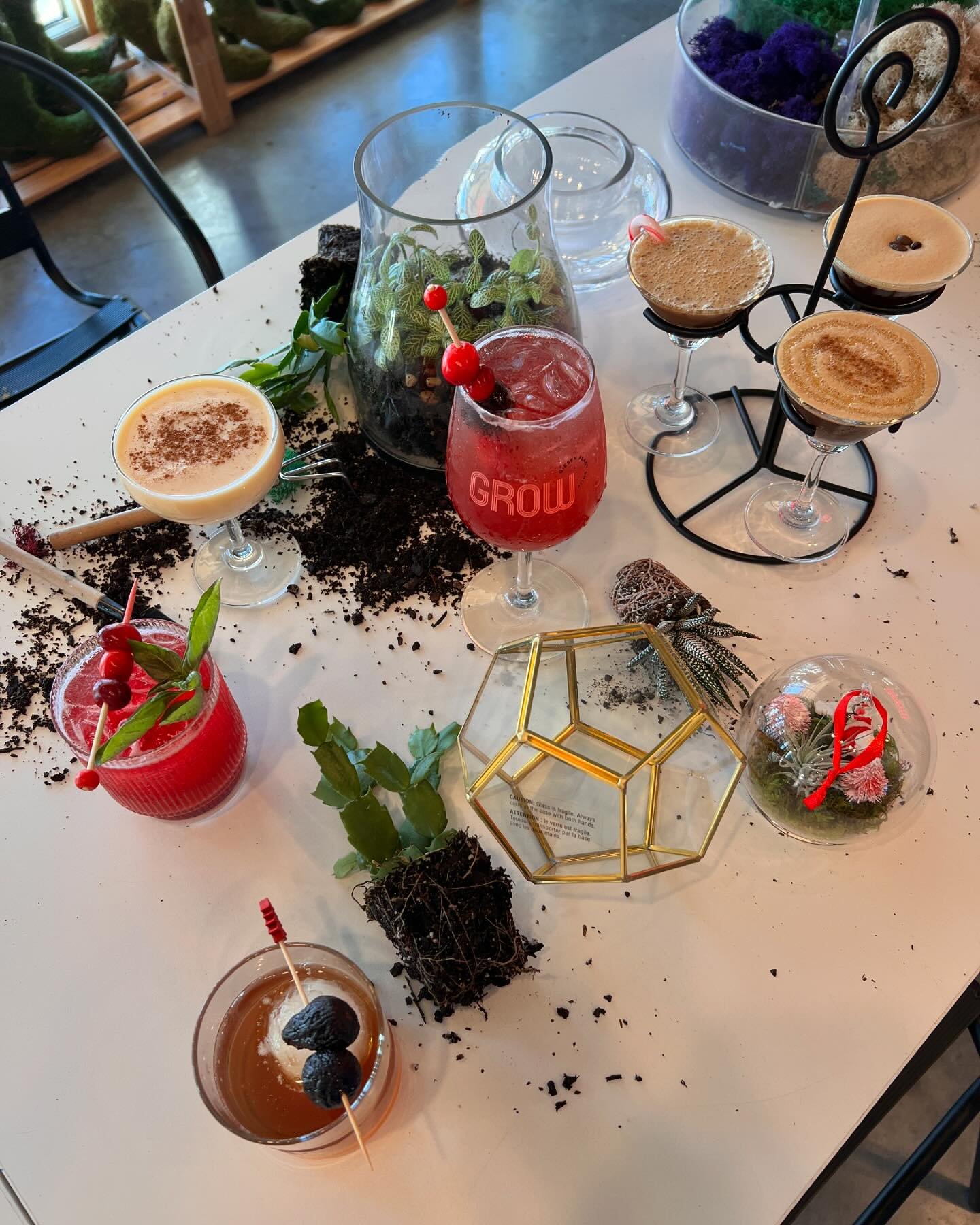 Create &amp; Shop today🪩

Holiday open house, spend $75 and receive a FREE mini plant. Free hot apple cider all day, winter wonderland terrarium bar. 

&ldquo;Holidays in Harmony&rdquo;- live lounge performance with Julian Samson. 6pm.