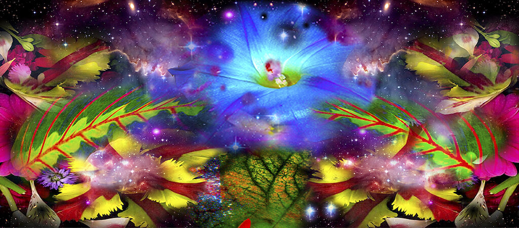 "Gardens & Galaxies - Blue Flower" (2020) by Susan Kaprov