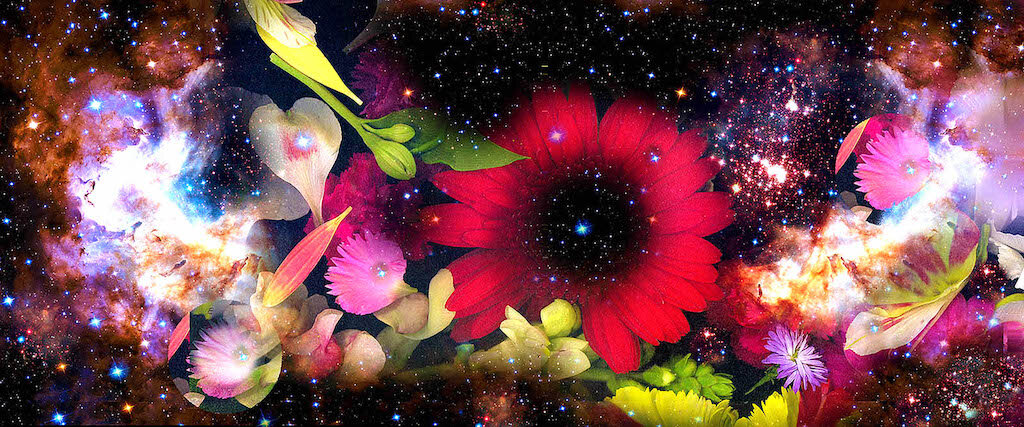 "Gardens & Galaxies - Red One" (2020) by Susan Kaprov