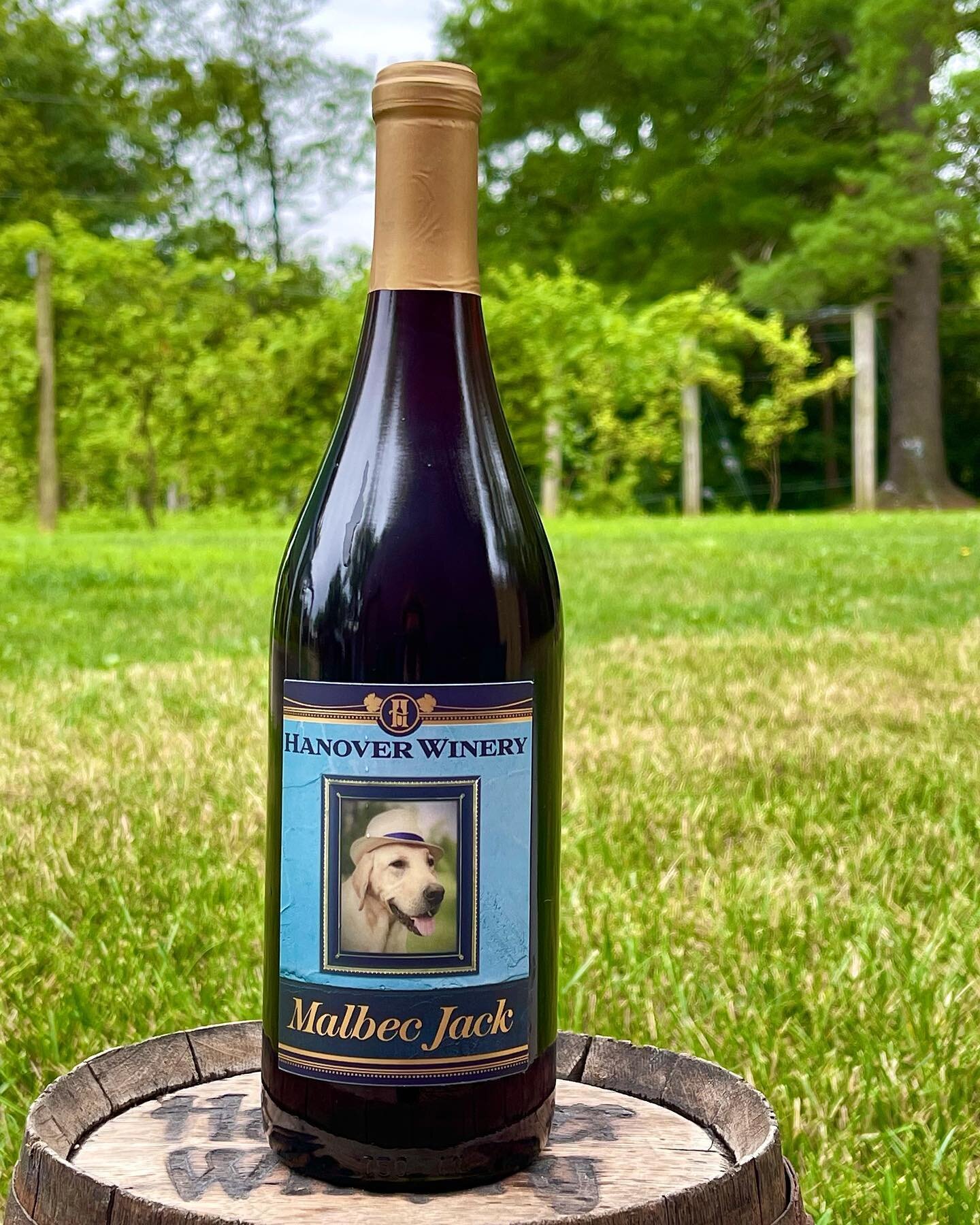 Malbec Jack! 
Excellent 2021 Malbec wine available 7/29/22
Named after our rescue pup Jack Martin ❤️
#malbec #rescuedogsofinstagram #cincinnatilabrescue #ohiowinery #ohiofindithere