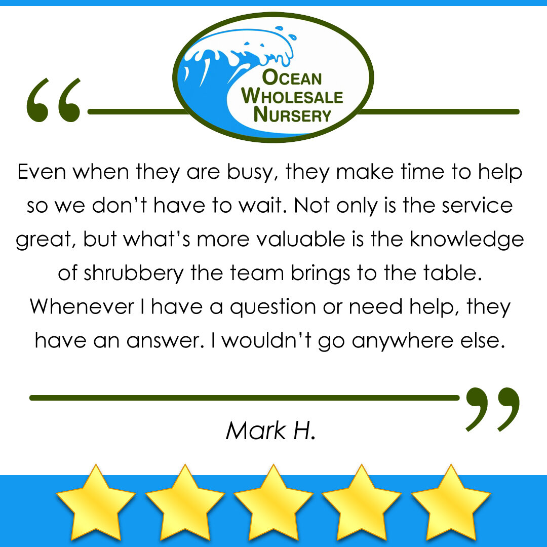 Thank you Mark for the glowing review!

Visit us and see what makes Ocean Wholesale a 5 star company:
https://www.oceanwholesalenursery.com/