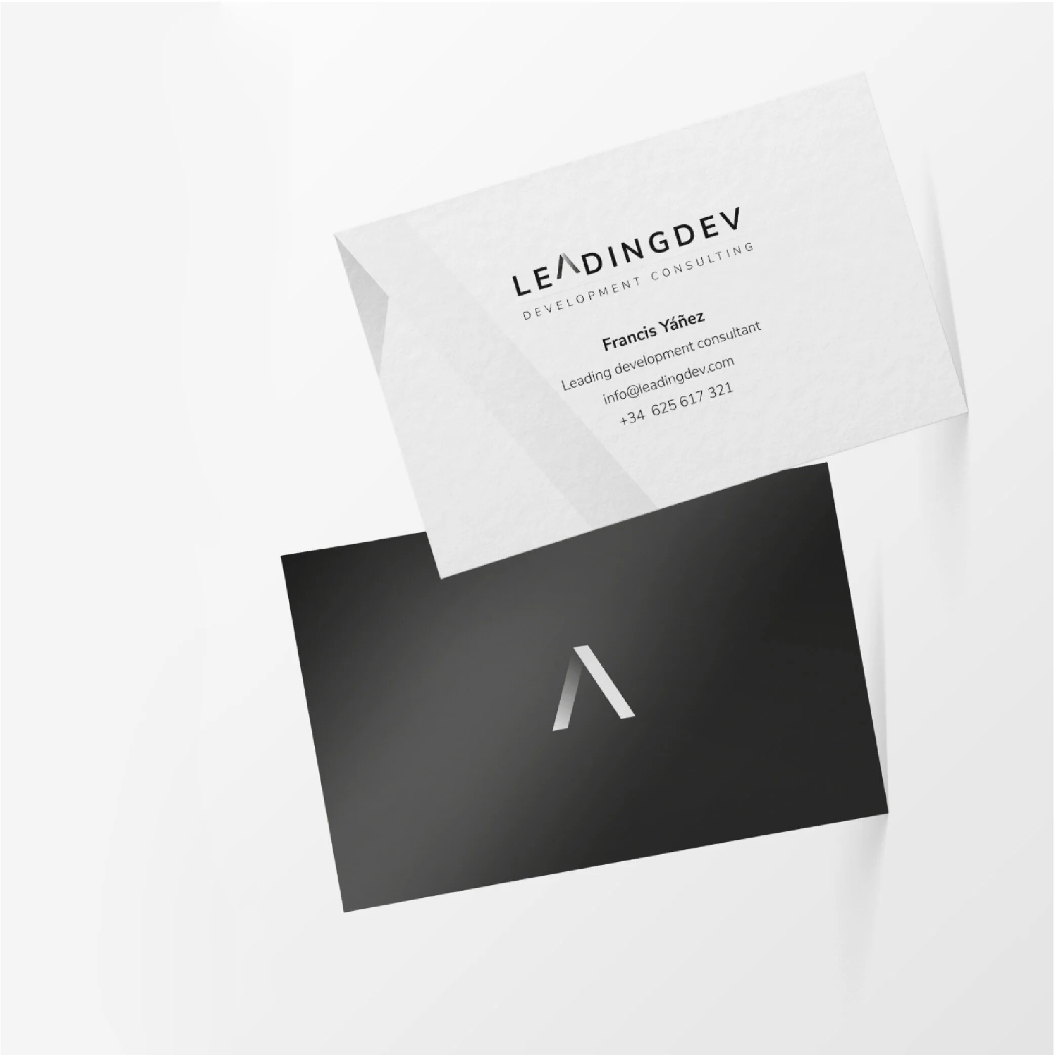 LEADING DEV PRESENTACION-11.jpg