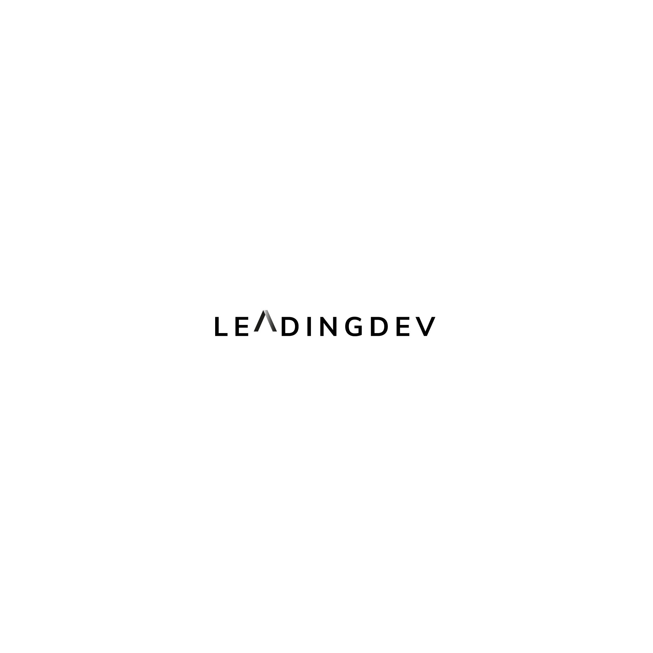 LEADING DEV PRESENTACION-13.jpg