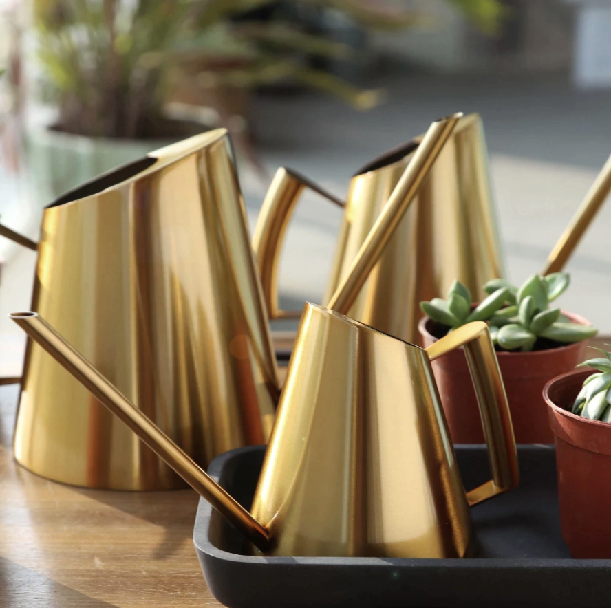 Compra estas regaderas preciosas aquí