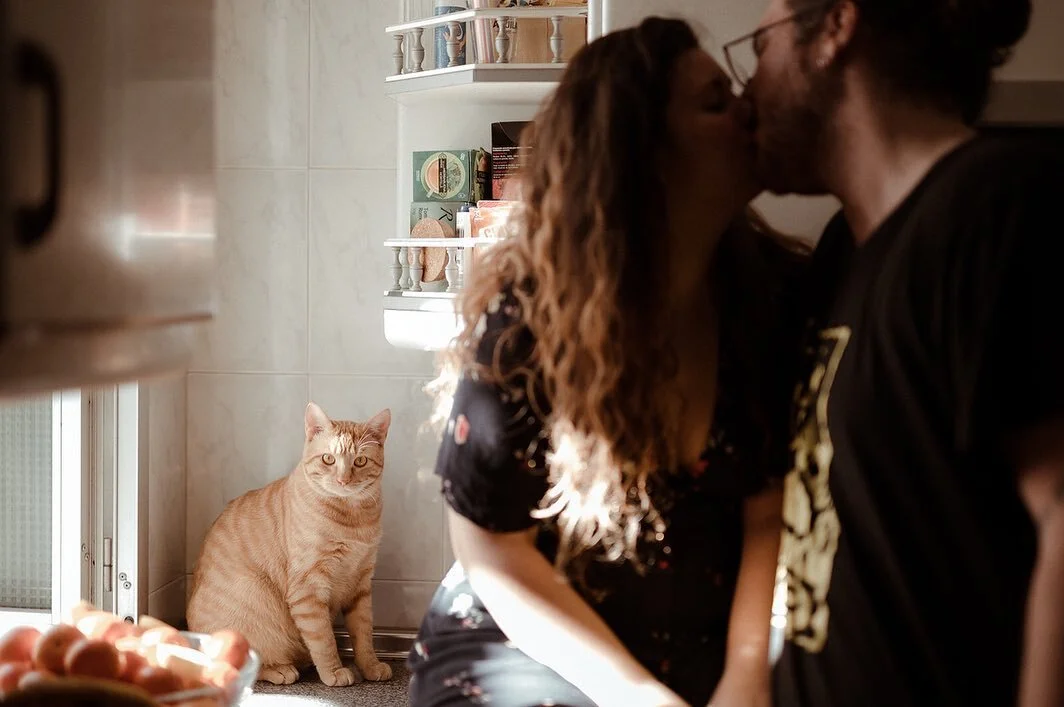 Ya las últimas (no lo sé) con Hermes como total protagonista.
Nadie va a negar que es más fotogénico que nosotros.
#unapologetic #cat