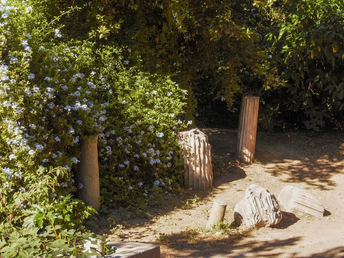 Jard&iacute;n nacional de Atenas 

@marcosserranocarrillo