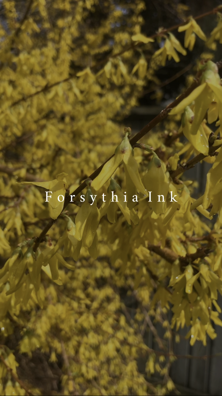 Natural Forsythia Ink
