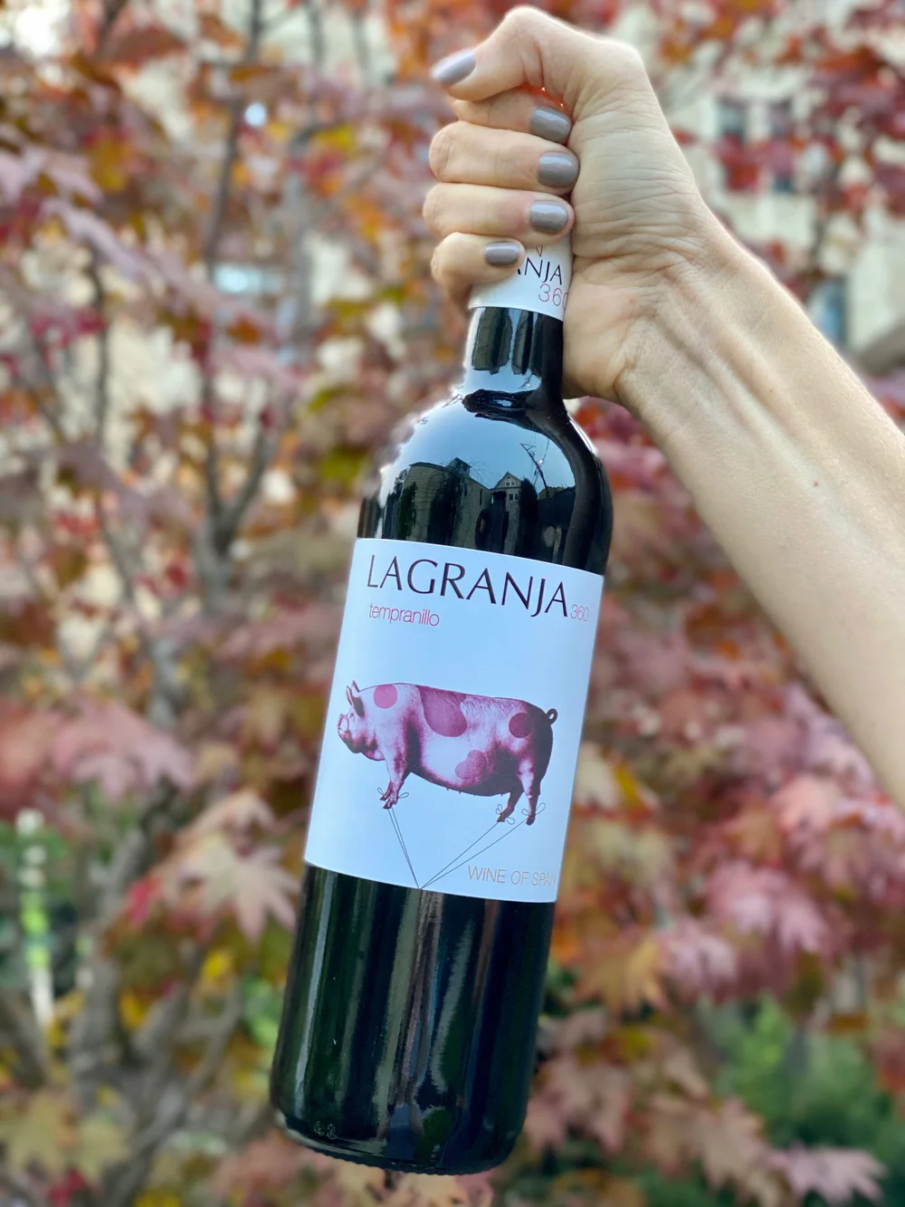 NV La Granja 360 Tempranillo — Trader Joe's Sommelier