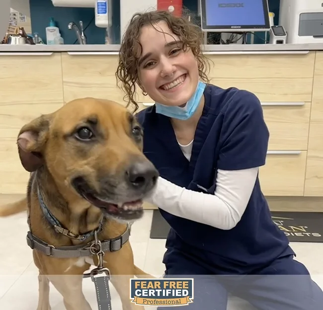 A young woman in scrubs and a face mask kneels next to a large, smiling brown dog with a harness in a veterinary clinic. She is smiling at the camera, and there is a medical counter with supplies and monitors behind them. A badge with the words "Fear Free Certified Professional" is visible at the bottom.
