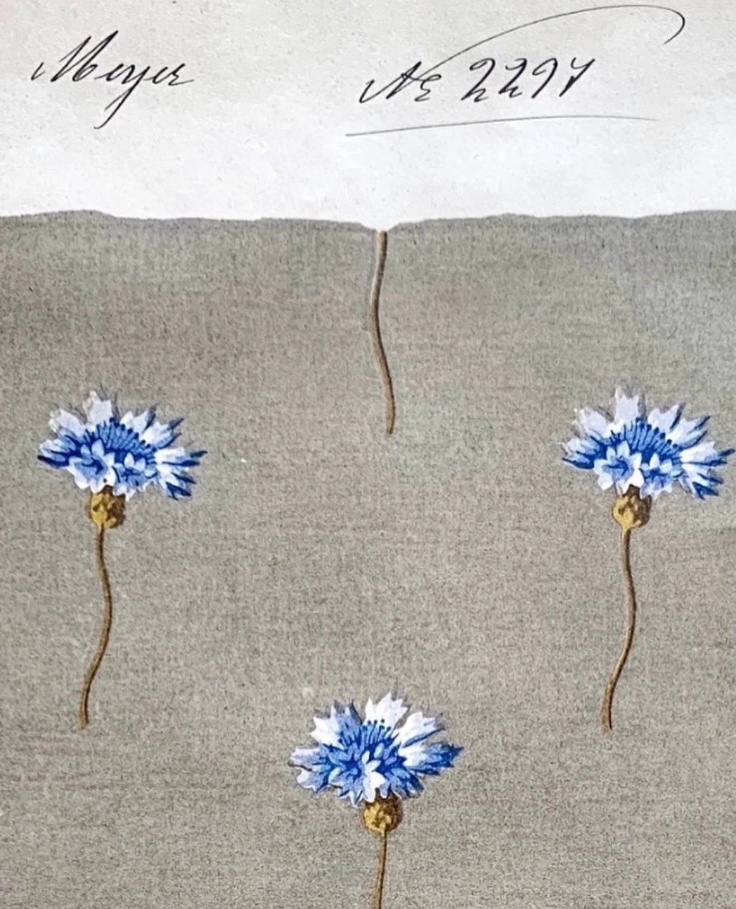 Antique French printed textile design with blue flowers.

#antiquetextiledesign 
#foralprint
#designinspiration
#colourinspiration 
#sophieroet