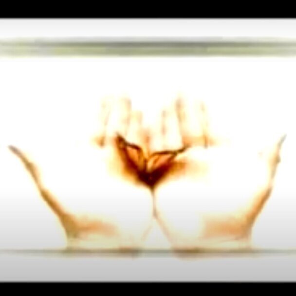 Screen%2BShot%2B2021-04-02%2Bat%2B1.16.27%2BPM.jpg