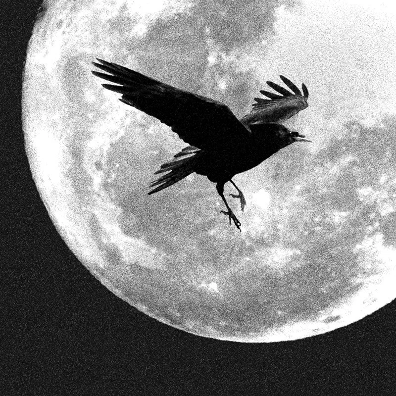 Crow Moon